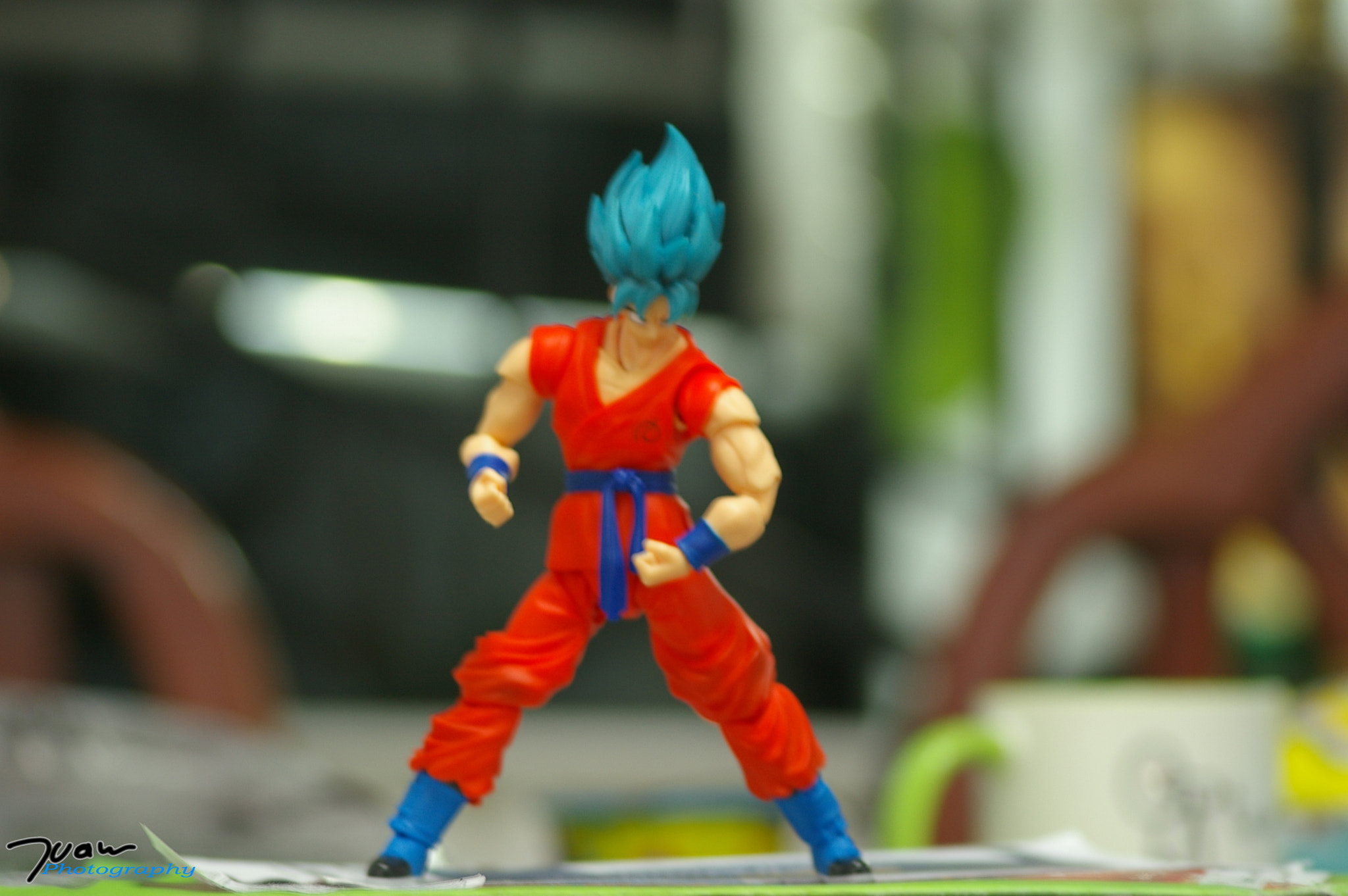 Pentax *ist DL + Sigma sample photo. Son goku photography