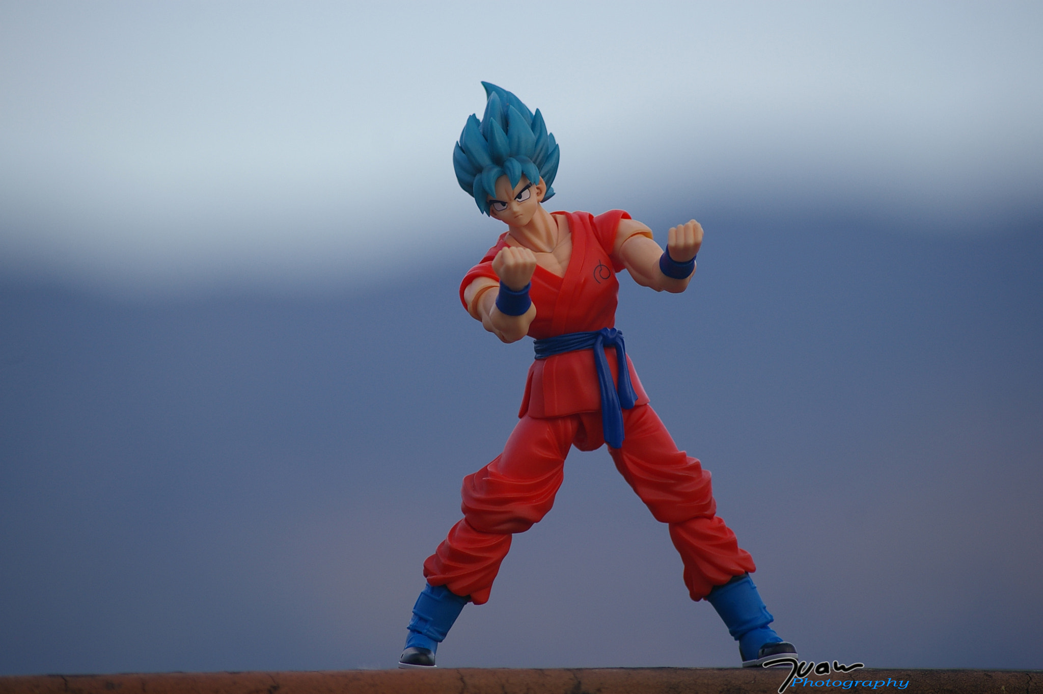 Pentax *ist DL + Sigma sample photo. Son goku photography