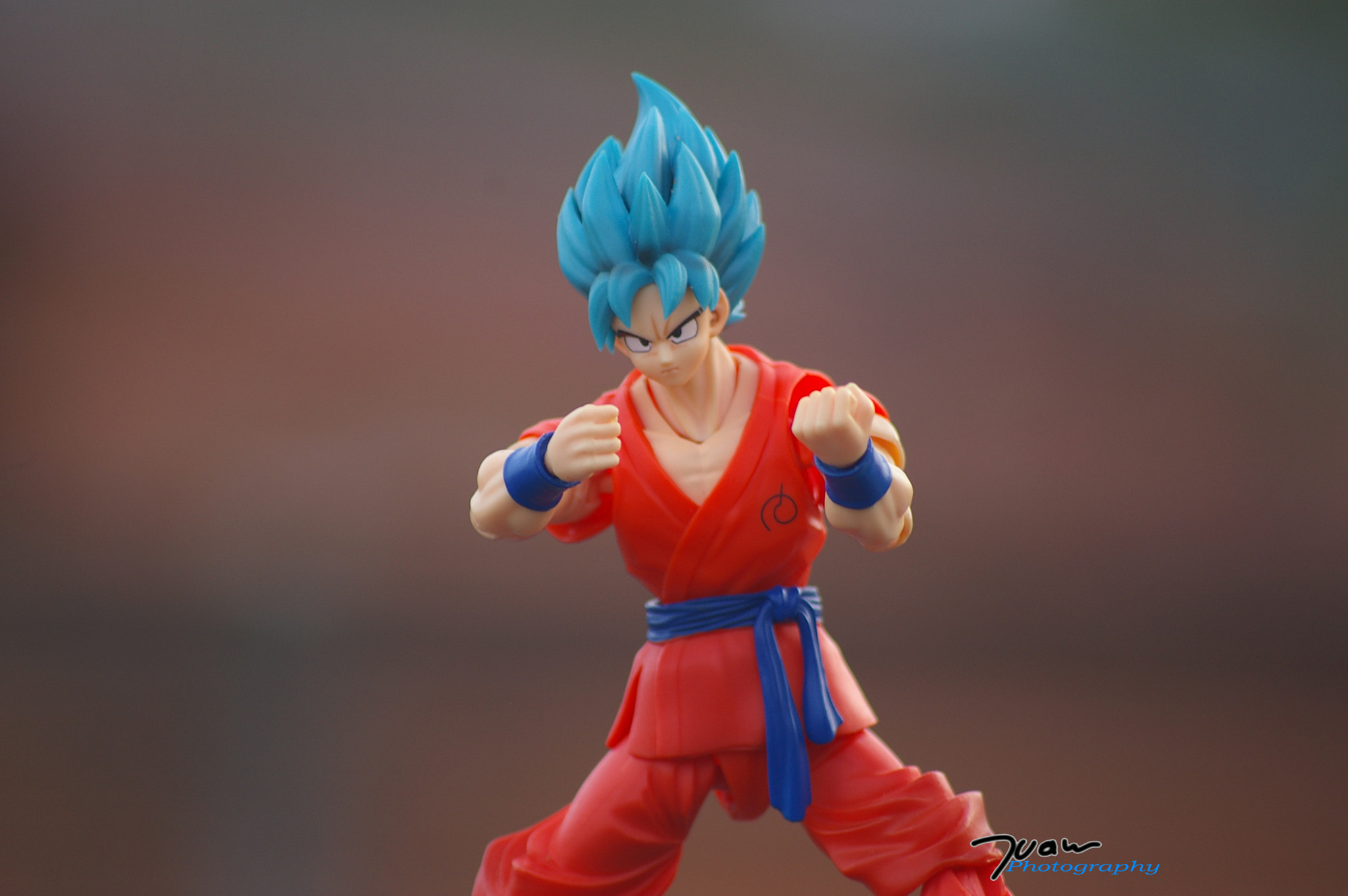 Pentax *ist DL + Sigma sample photo. Son goku photography