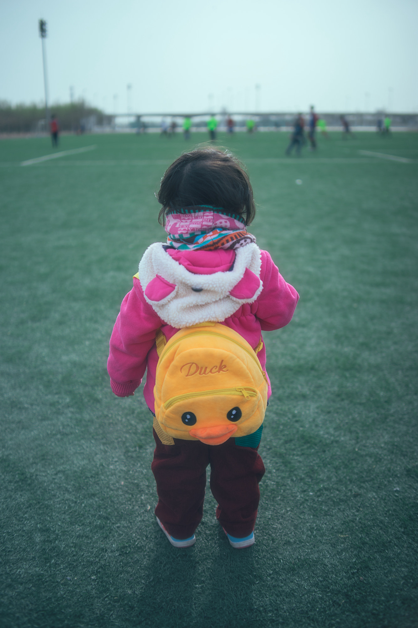 Sony a7 + Canon EF 35-80mm f/4-5.6 sample photo. Daily life photography