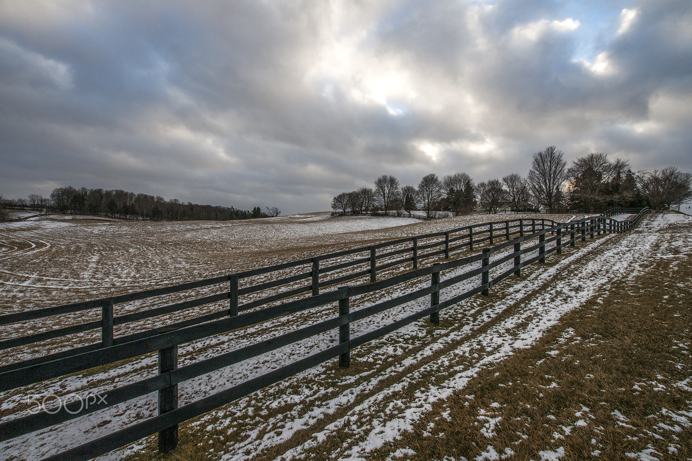Nikon D3X sample photo. King rd photography