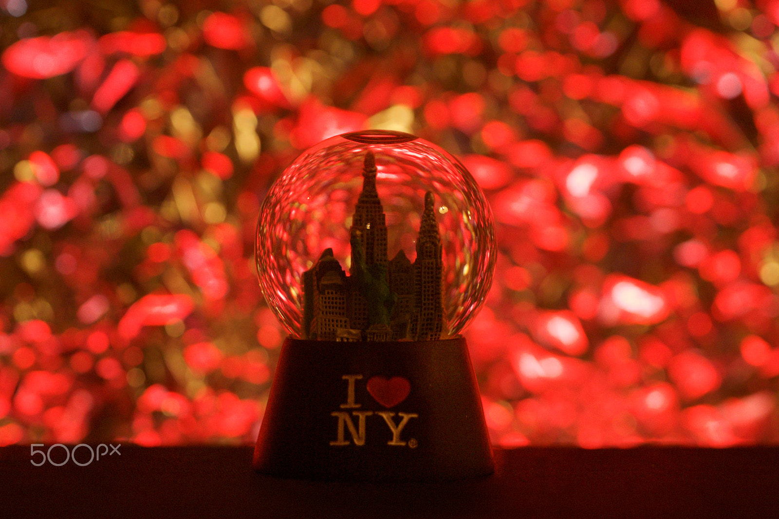 Canon EF 100mm F2.8 Macro USM sample photo. I love ny photography