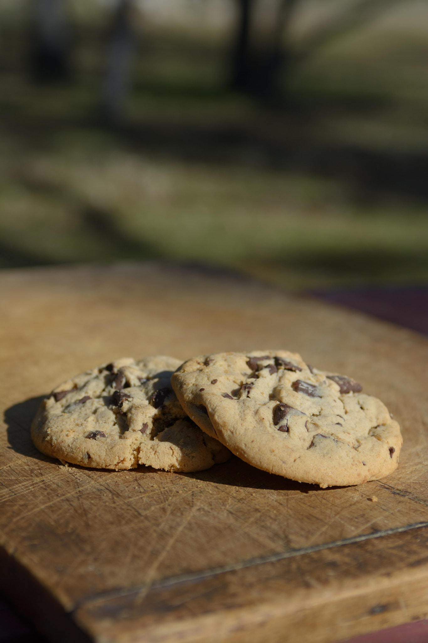 Nikon AF-S Nikkor 28-70mm F2.8 ED-IF sample photo. Chocolate cookies photography