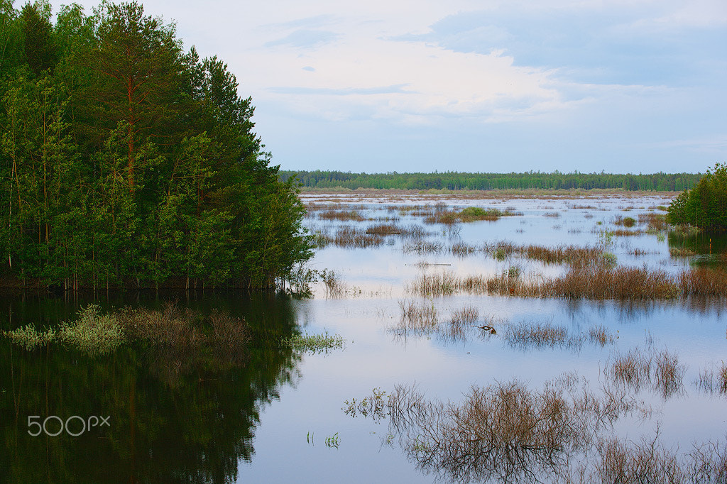 80.0 - 200.0 mm sample photo. Flood photography