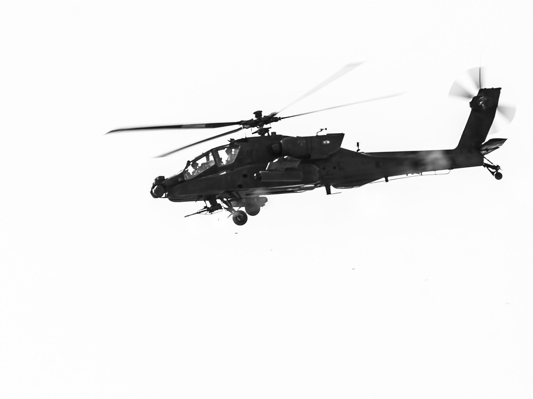 Nikon D200 sample photo. The predator photography