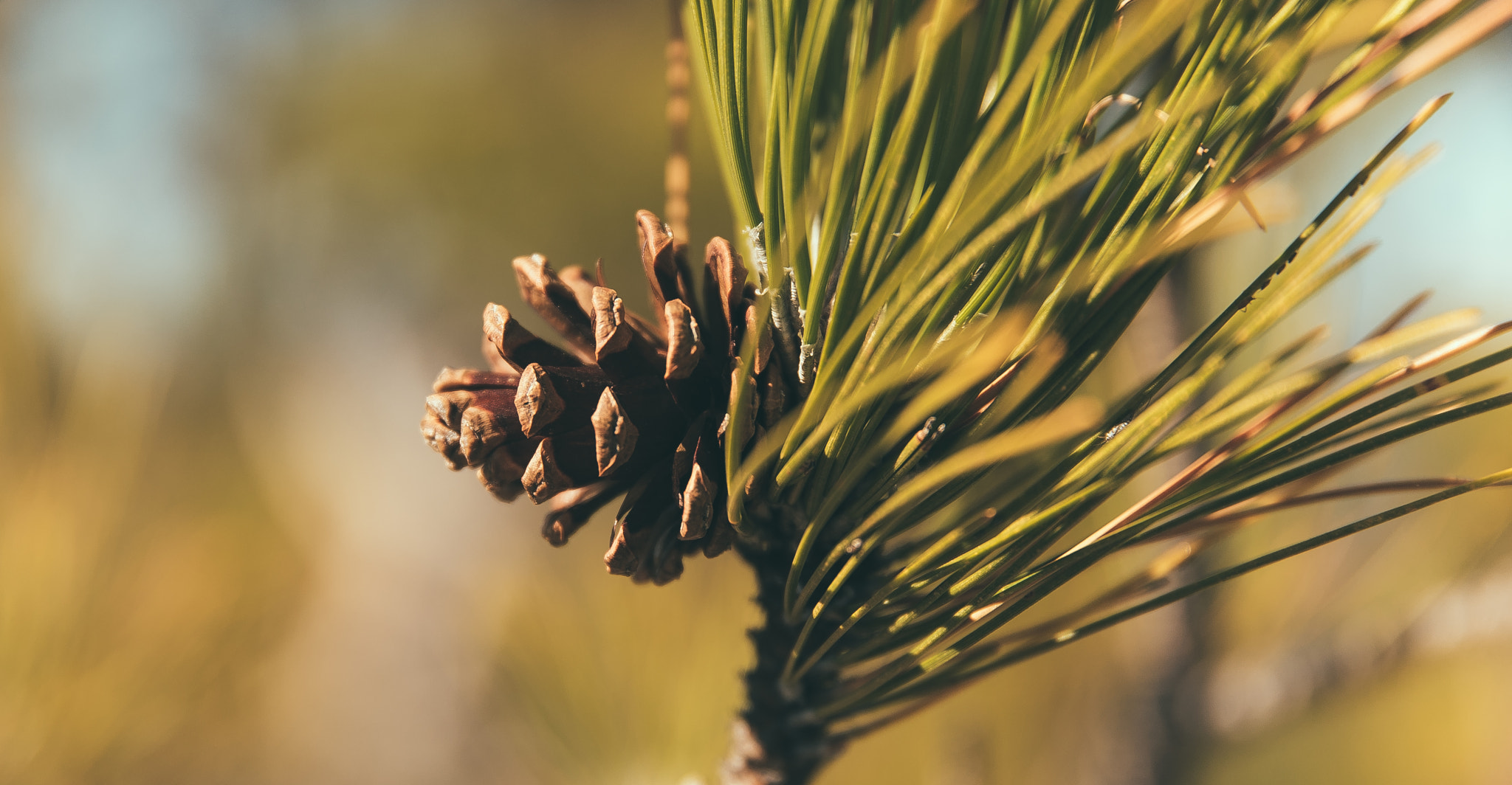 Sigma 24-105mm f/4 DG OS HSM | A sample photo