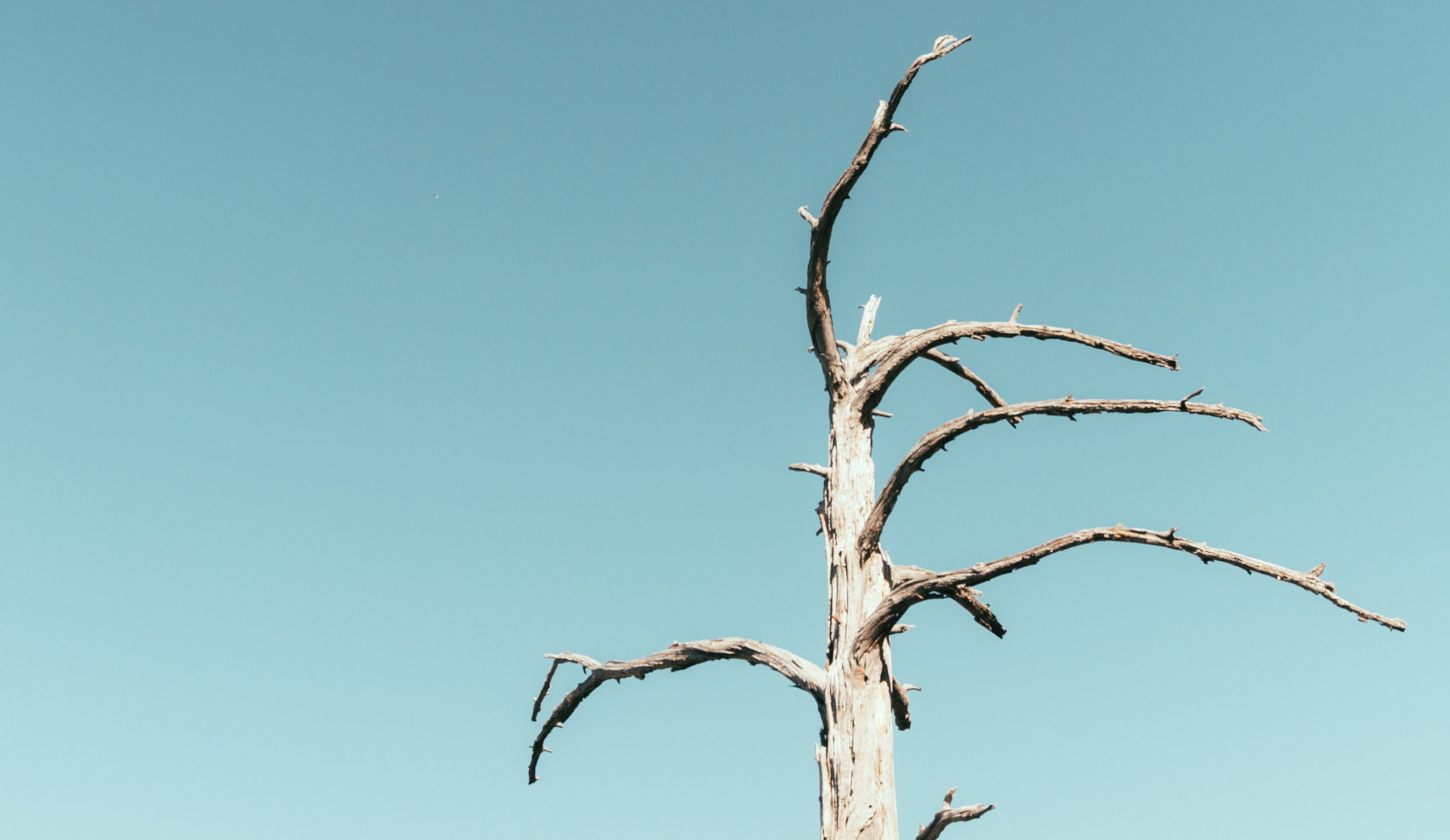 Sigma 24-105mm f/4 DG OS HSM | A sample photo