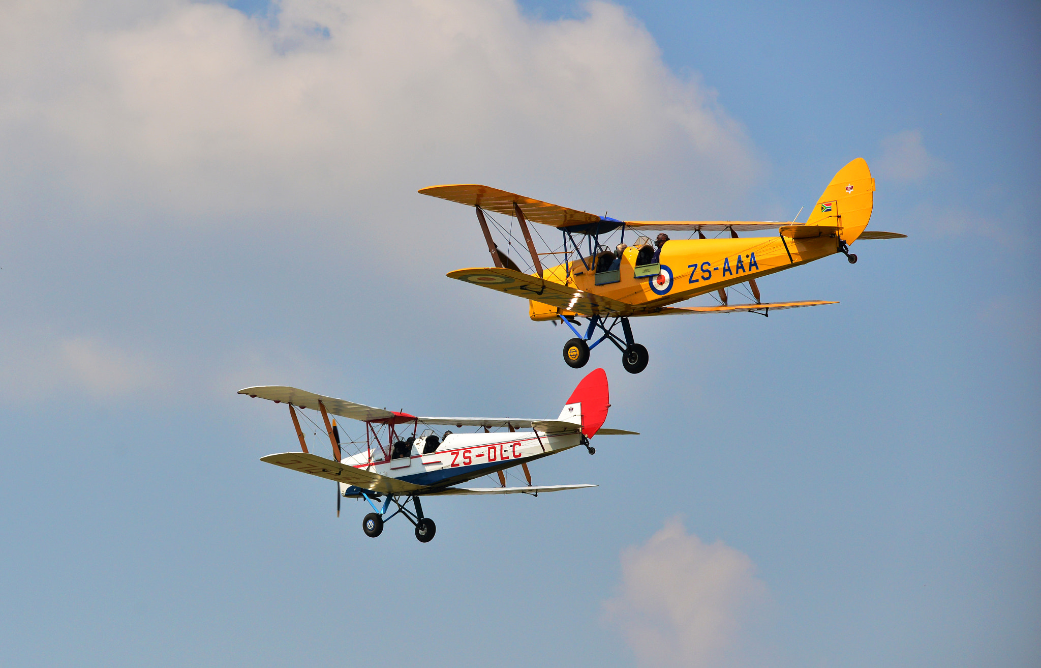 Sigma 150-500mm F5-6.3 DG OS HSM sample photo. Tiger moth formation photography