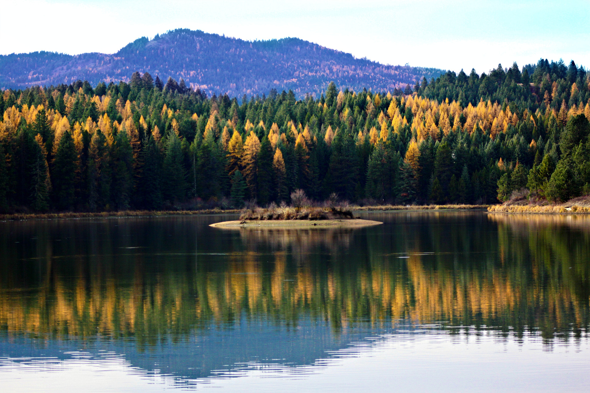 Canon EF 75-300mm f/4-5.6 USM sample photo. Spring hill photography