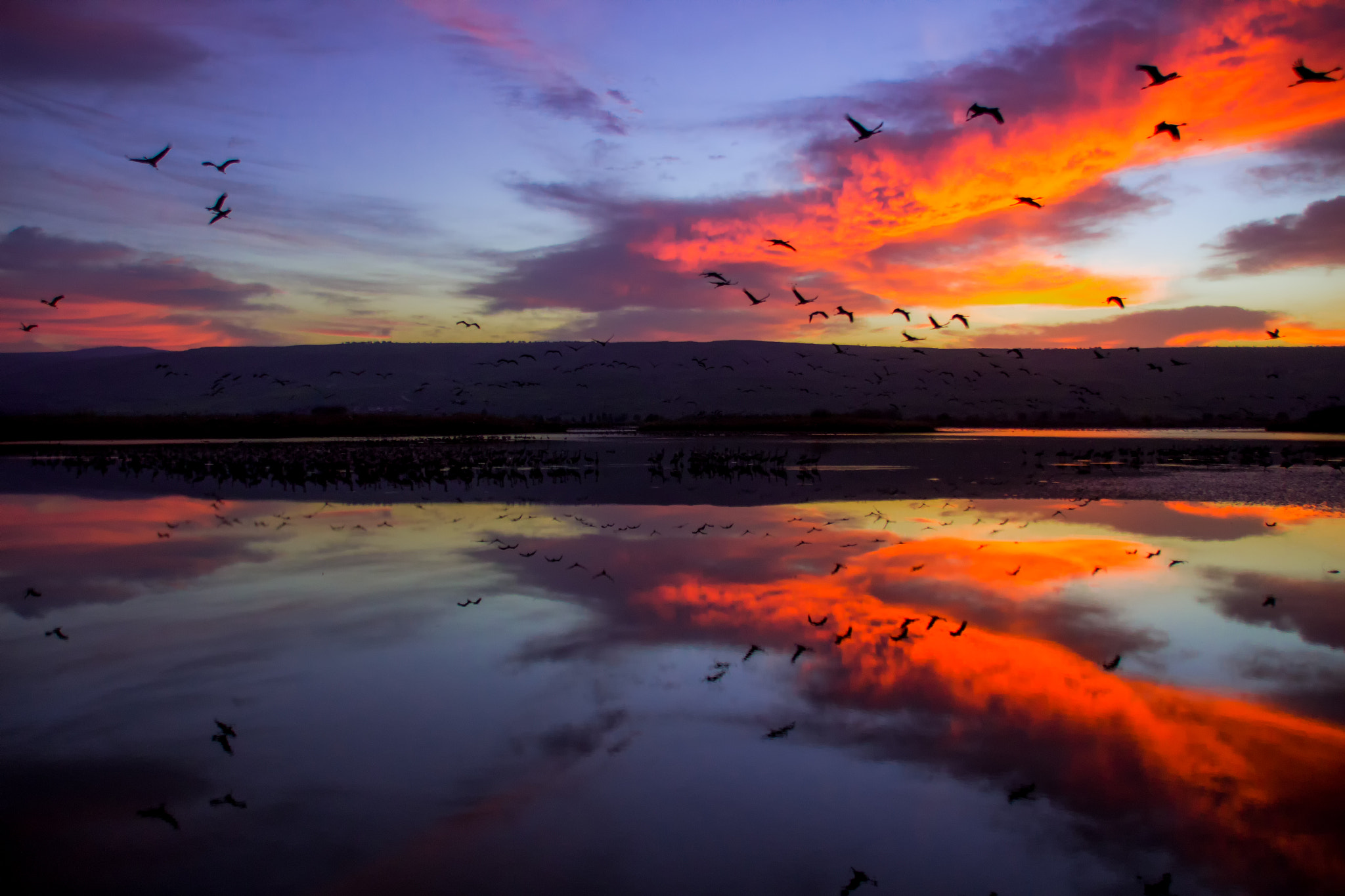 Sigma 18-250mm F3.5-6.3 DC OS HSM sample photo. Colorful sunrise at hula lake park photography