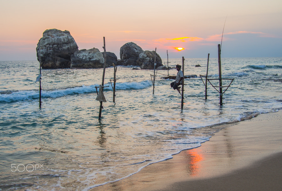 Olympus PEN E-P5 + Panasonic Lumix G 20mm F1.7 ASPH sample photo. Last fishing photography