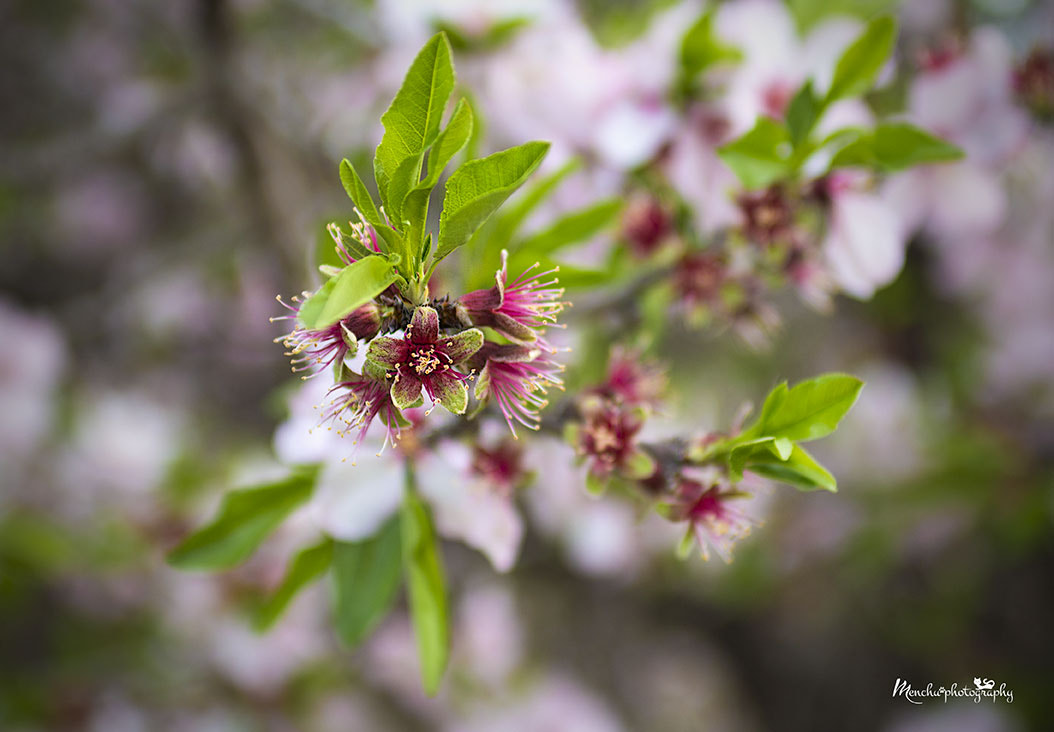 EF28-70mm f/2.8L USM sample photo. Magic in nature photography