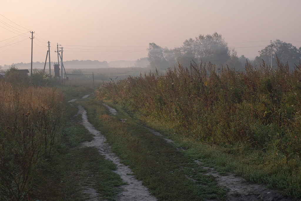 Pentax K110D sample photo. Autumn morning. photography