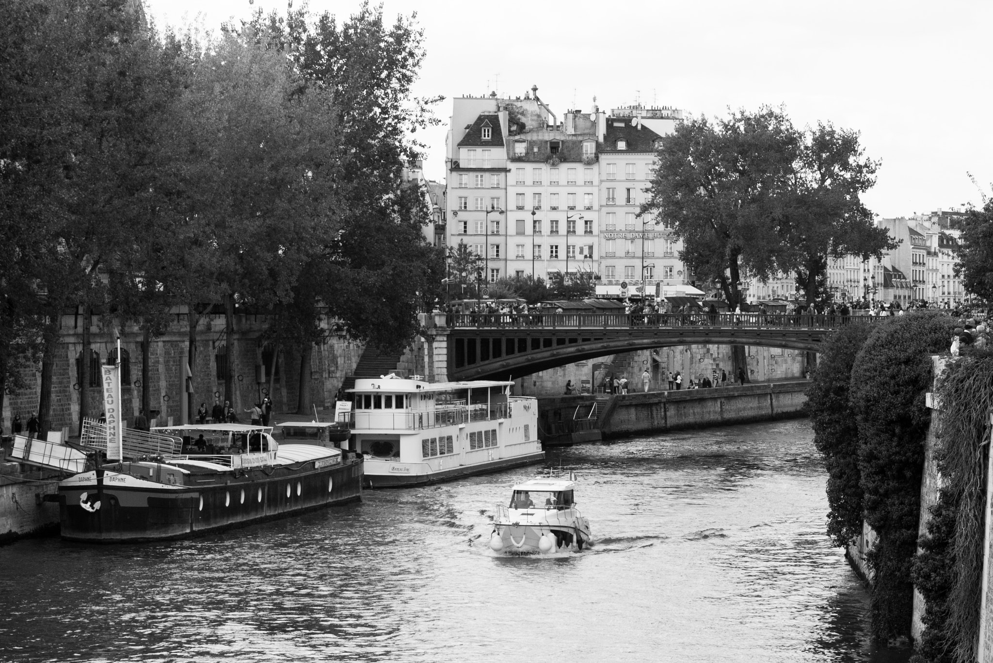 Canon EOS 450D (EOS Rebel XSi / EOS Kiss X2) + Canon EF 70-200mm F4L USM sample photo. A day along the seine, paris photography