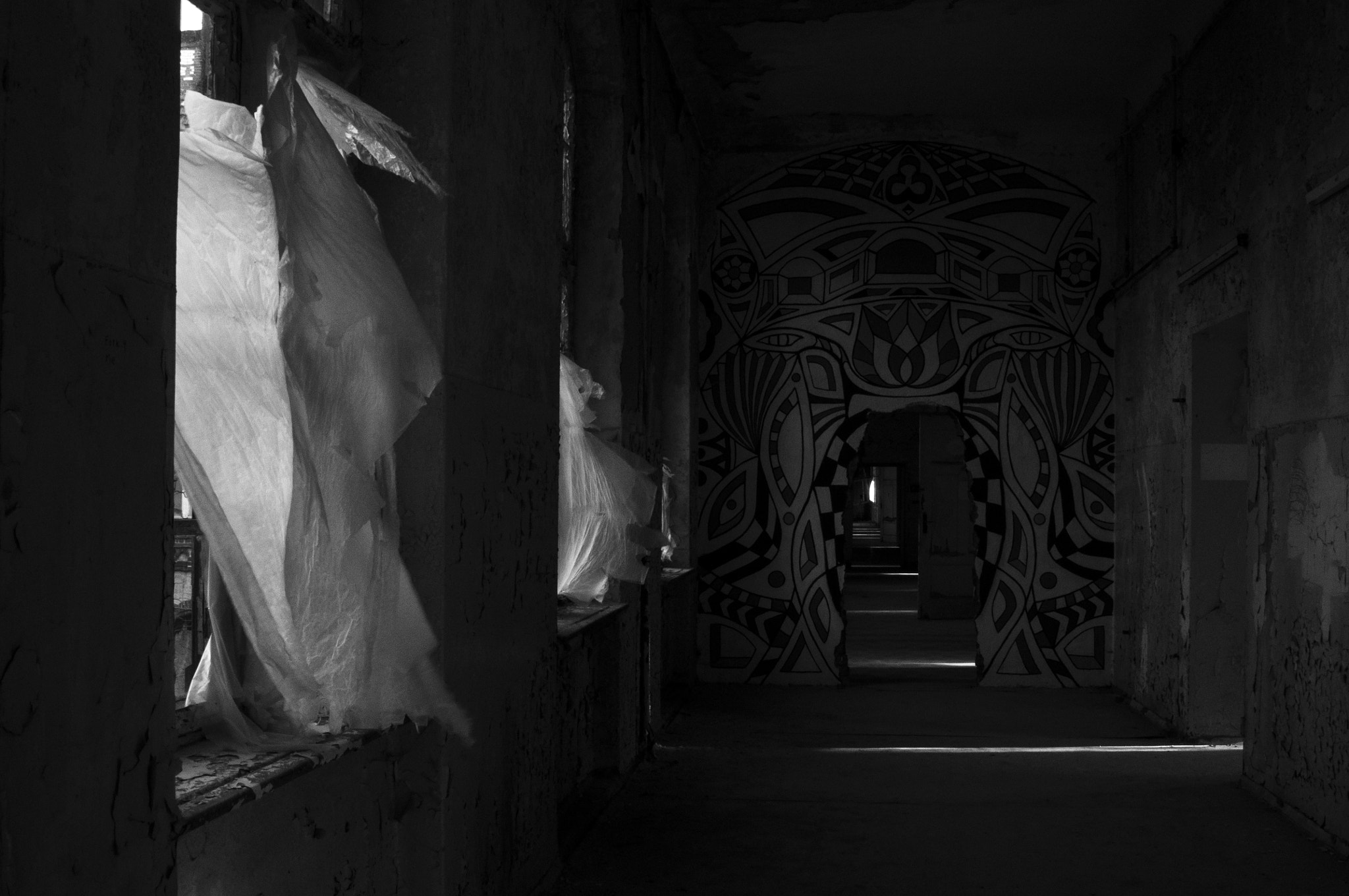 Nikon AF Nikkor 24-85mm F2.8-4D IF sample photo. Dark wind (beelitz #8) photography