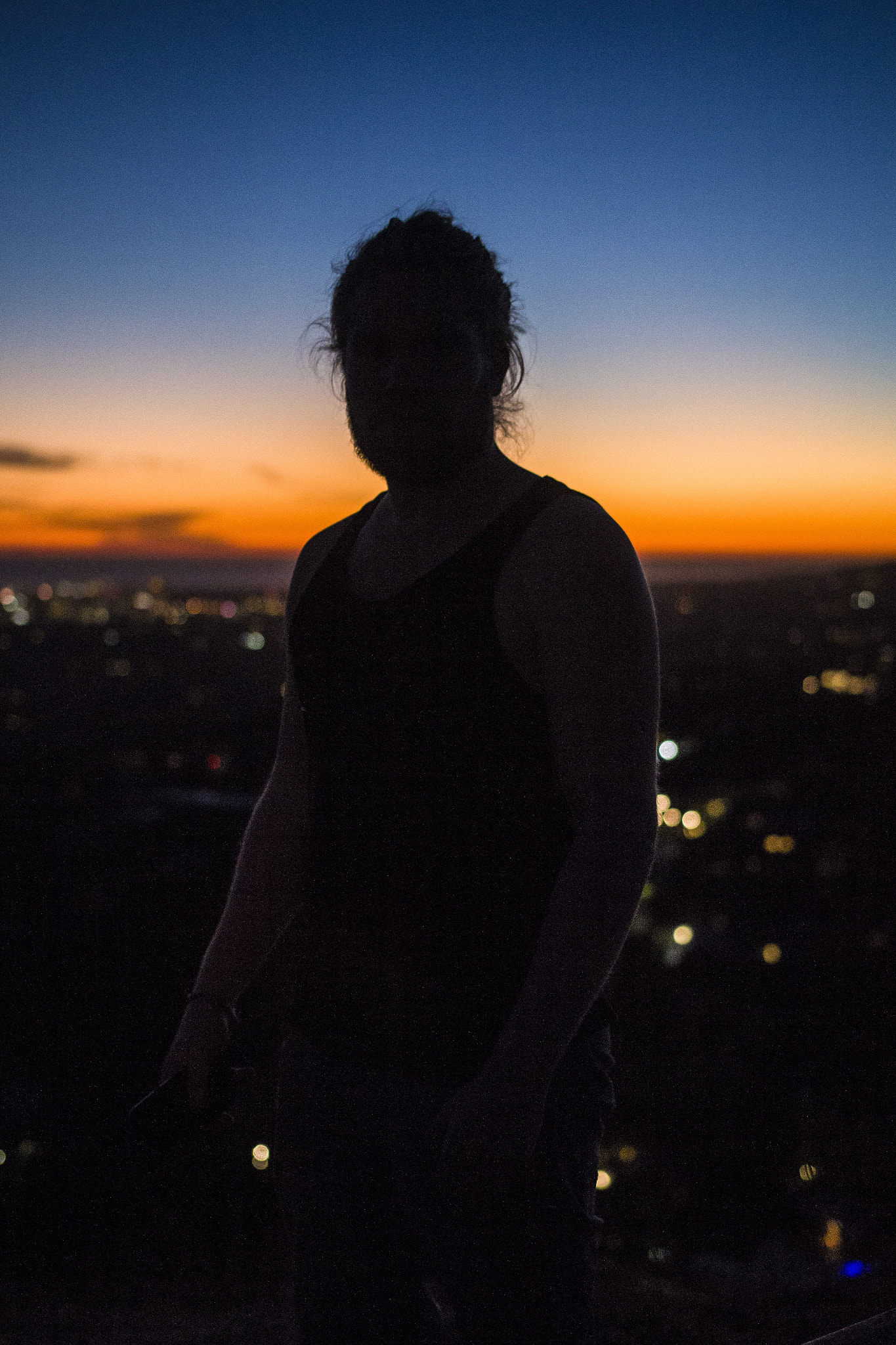 Sigma 18-35mm f/1.8 DC HSM sample photo. Hollywood sunset photography