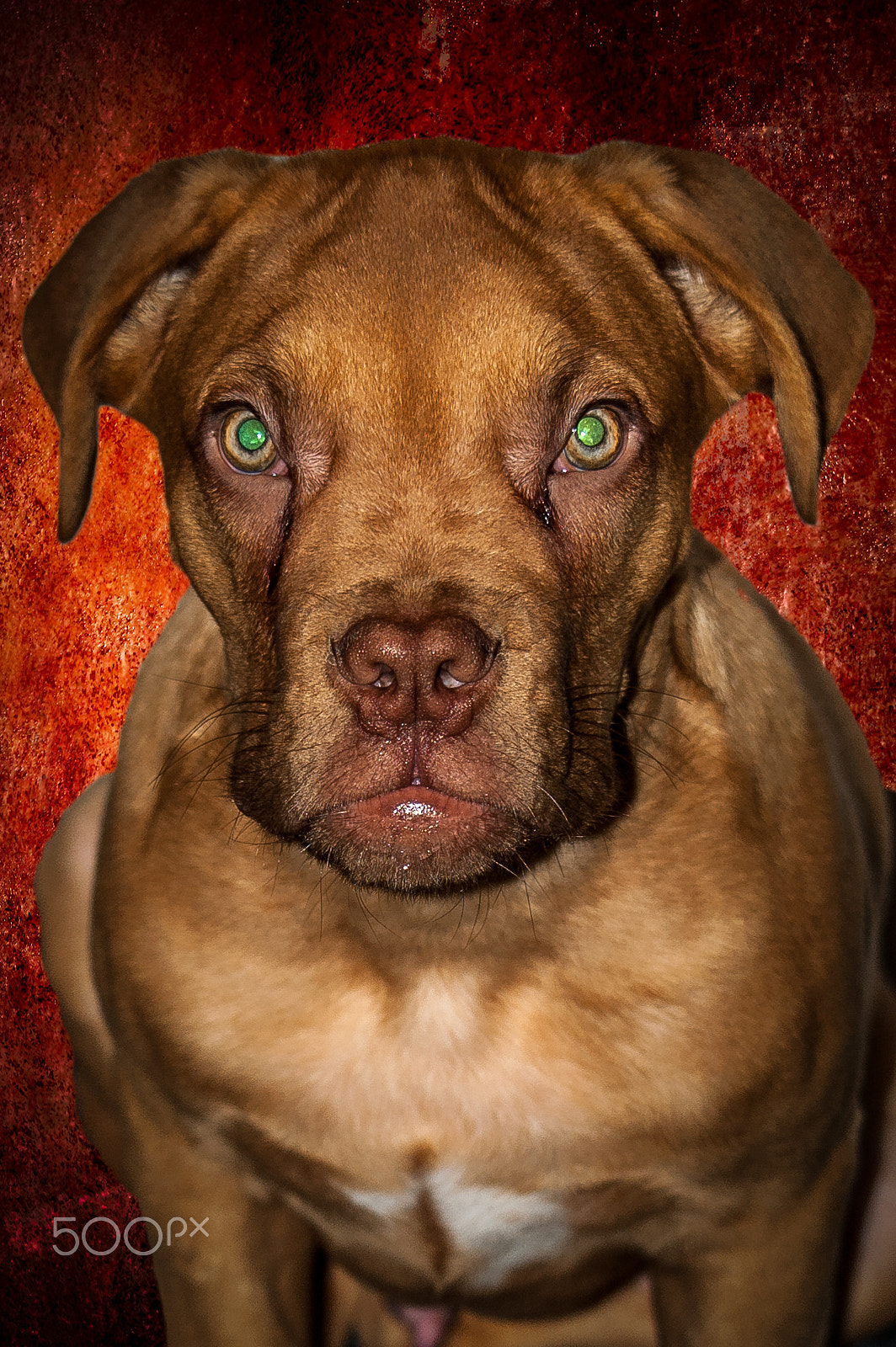 Nikon D70 sample photo. Bewerkt photography