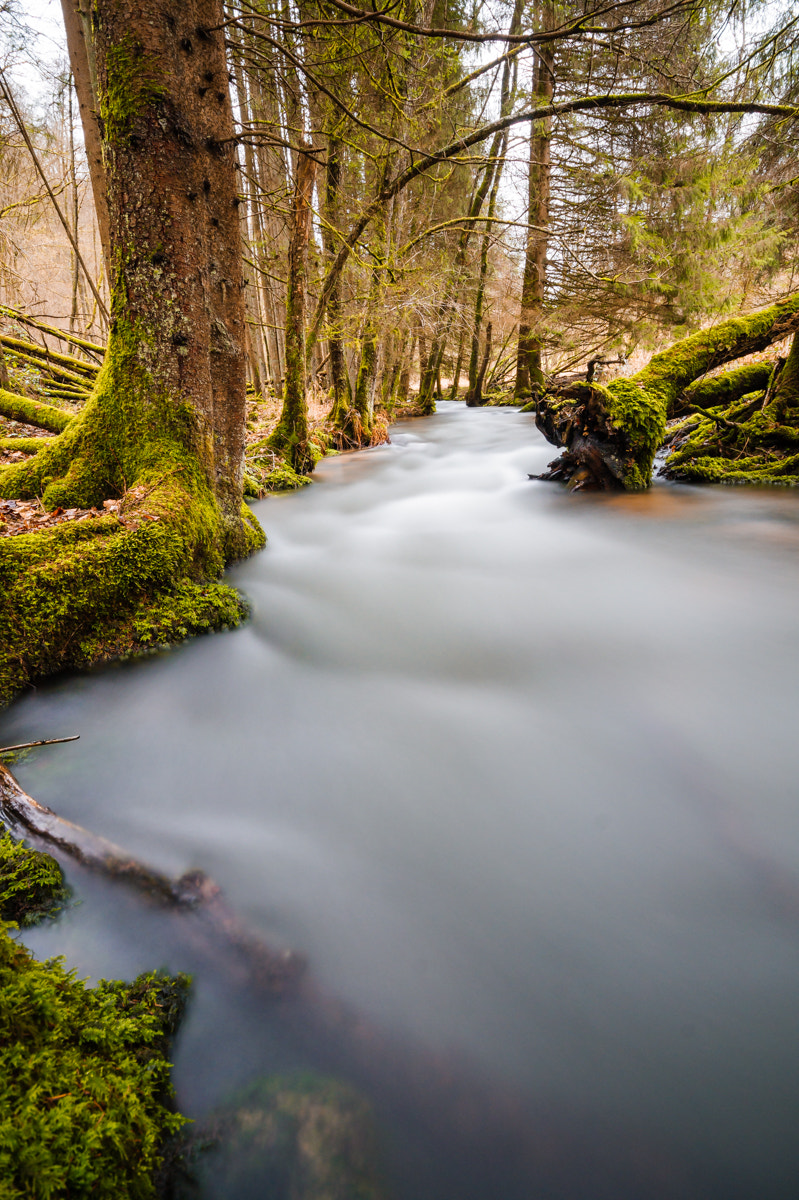 Minolta AF 28-80mm F3.5-5.6 II sample photo. Gammelsbach photography