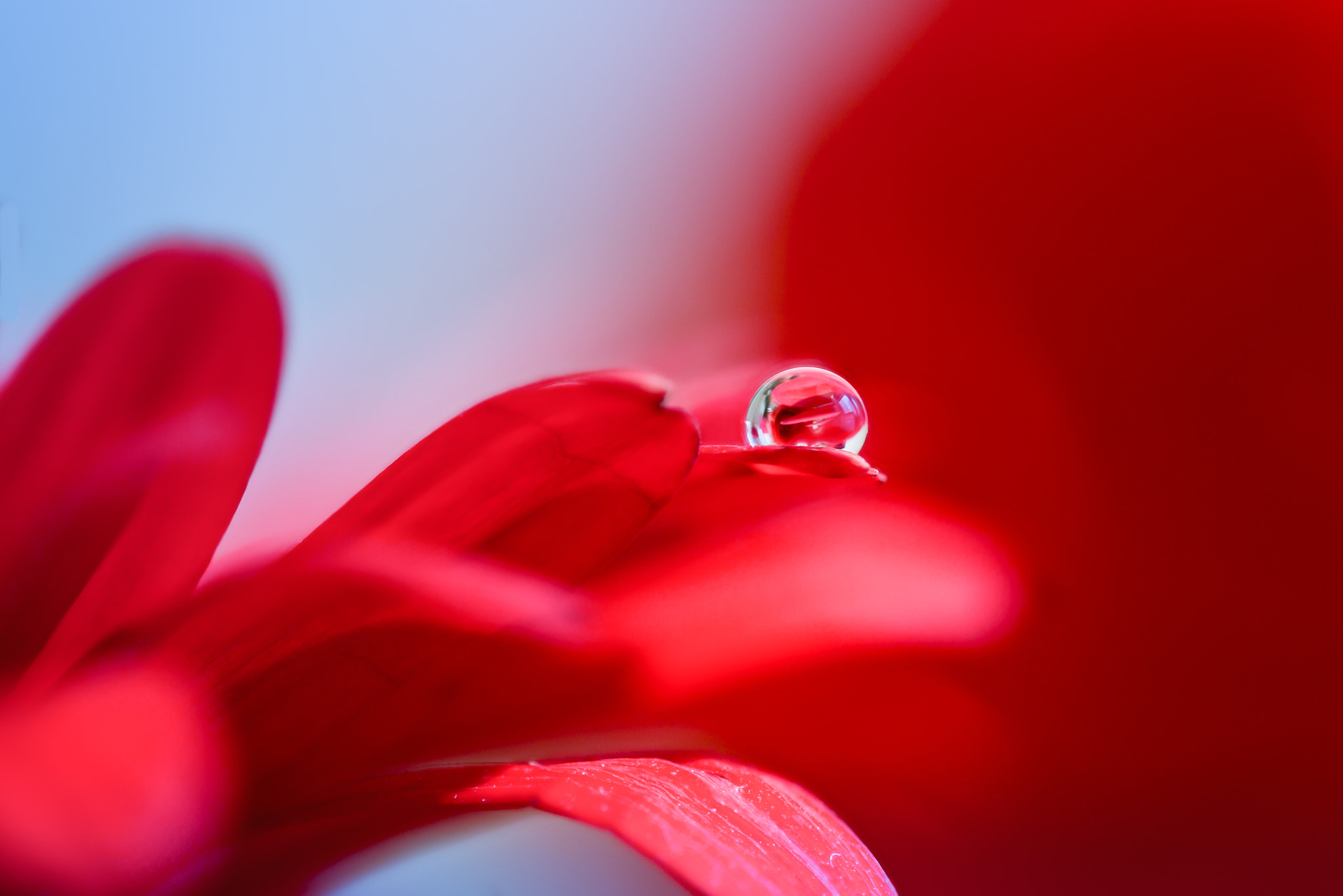 Sigma 150mm f/2.8 EX DG OS HSM APO Macro sample photo. A drop with reflection photography