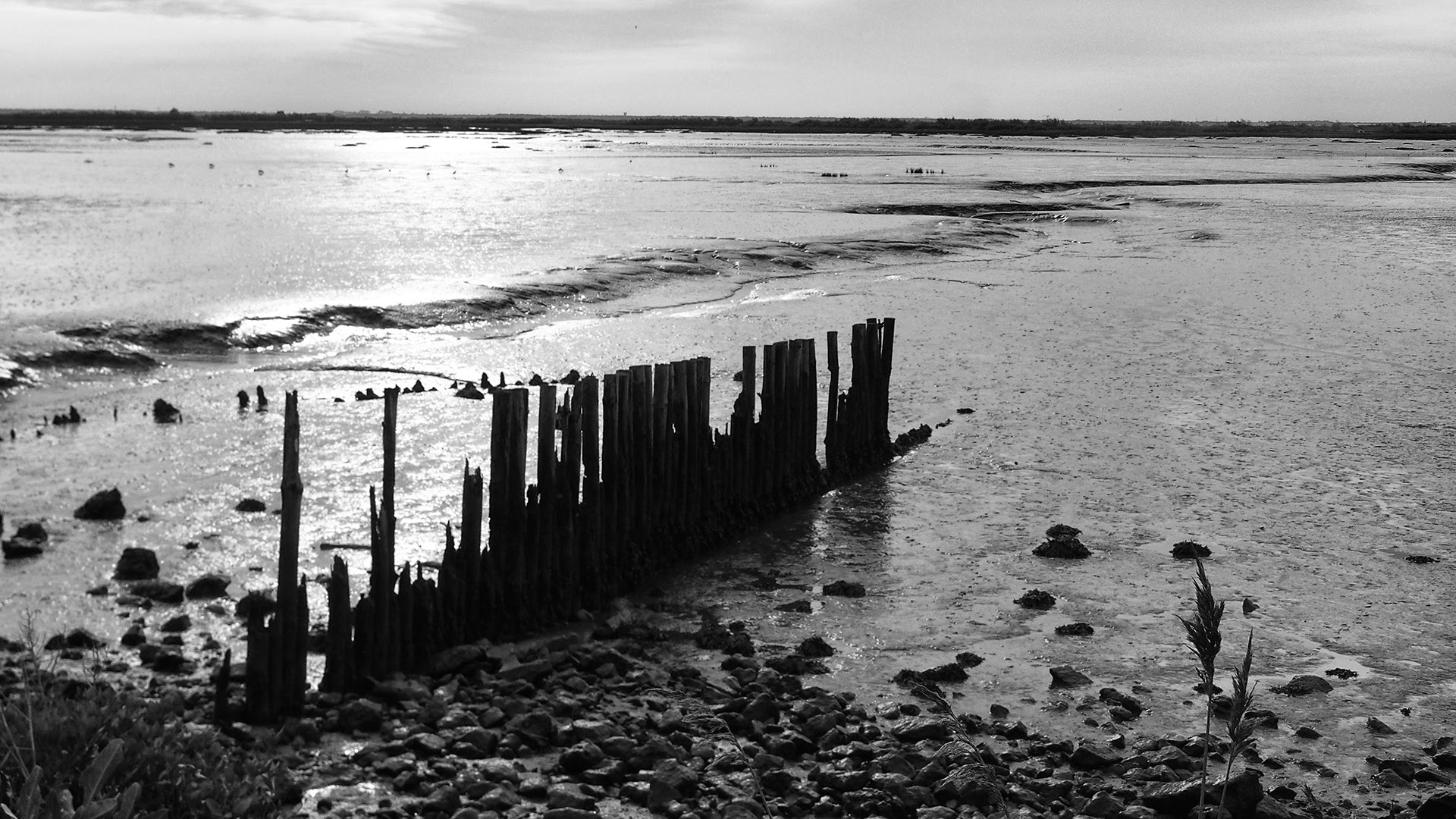 OLYMPUS M.14-150mm F4.0-5.6 II sample photo. Arcachon sunset photography