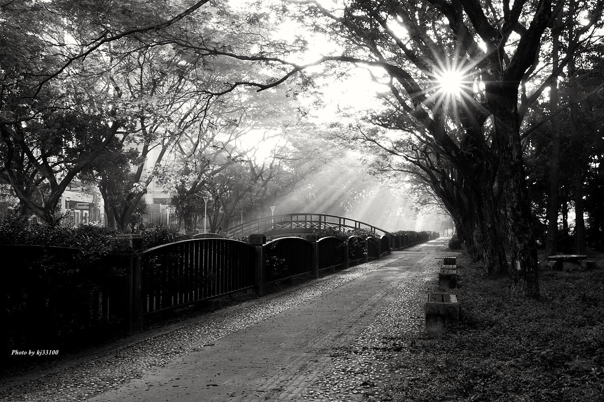 Tokina AT-X Pro 12-24mm F4 (IF) DX sample photo. 晨光小徑 photography