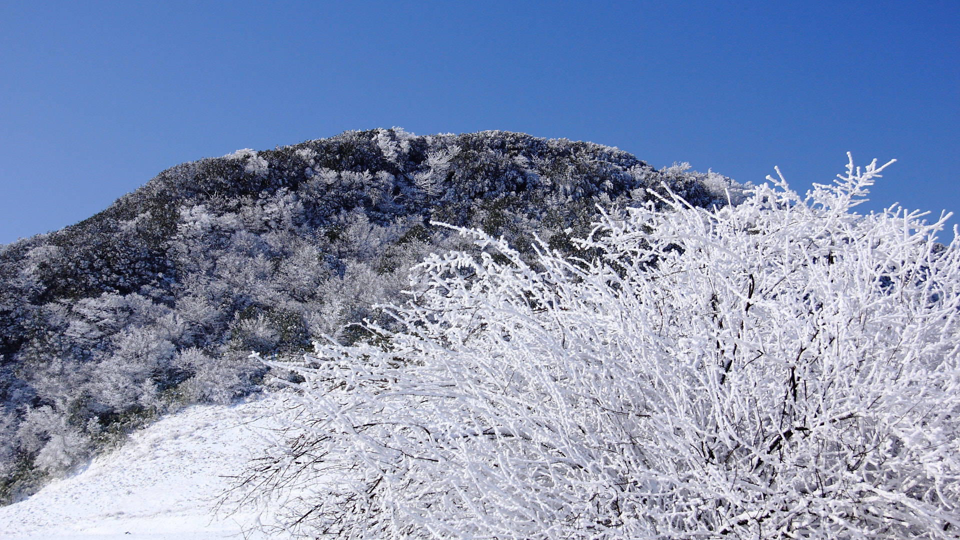 Canon EOS 550D (EOS Rebel T2i / EOS Kiss X4) + Canon EF-S 18-200mm F3.5-5.6 IS sample photo. 雪 photography