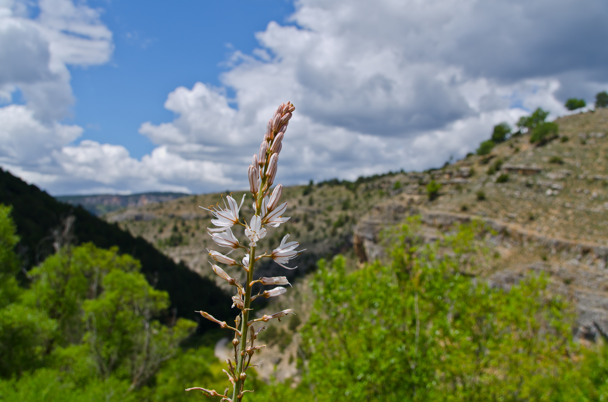 Nikon D7000 + Nikon PC-E Nikkor 24mm F3.5D ED Tilt-Shift sample photo. Cuenca photography