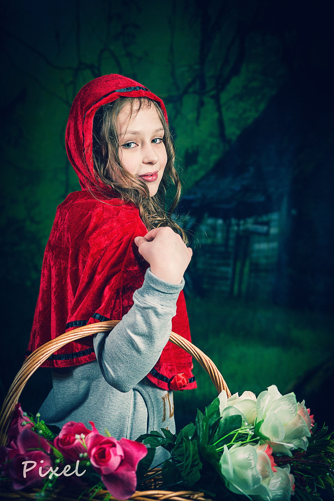 Sony Alpha DSLR-A850 + 35-70mm F4 sample photo. Красная шапочка photography