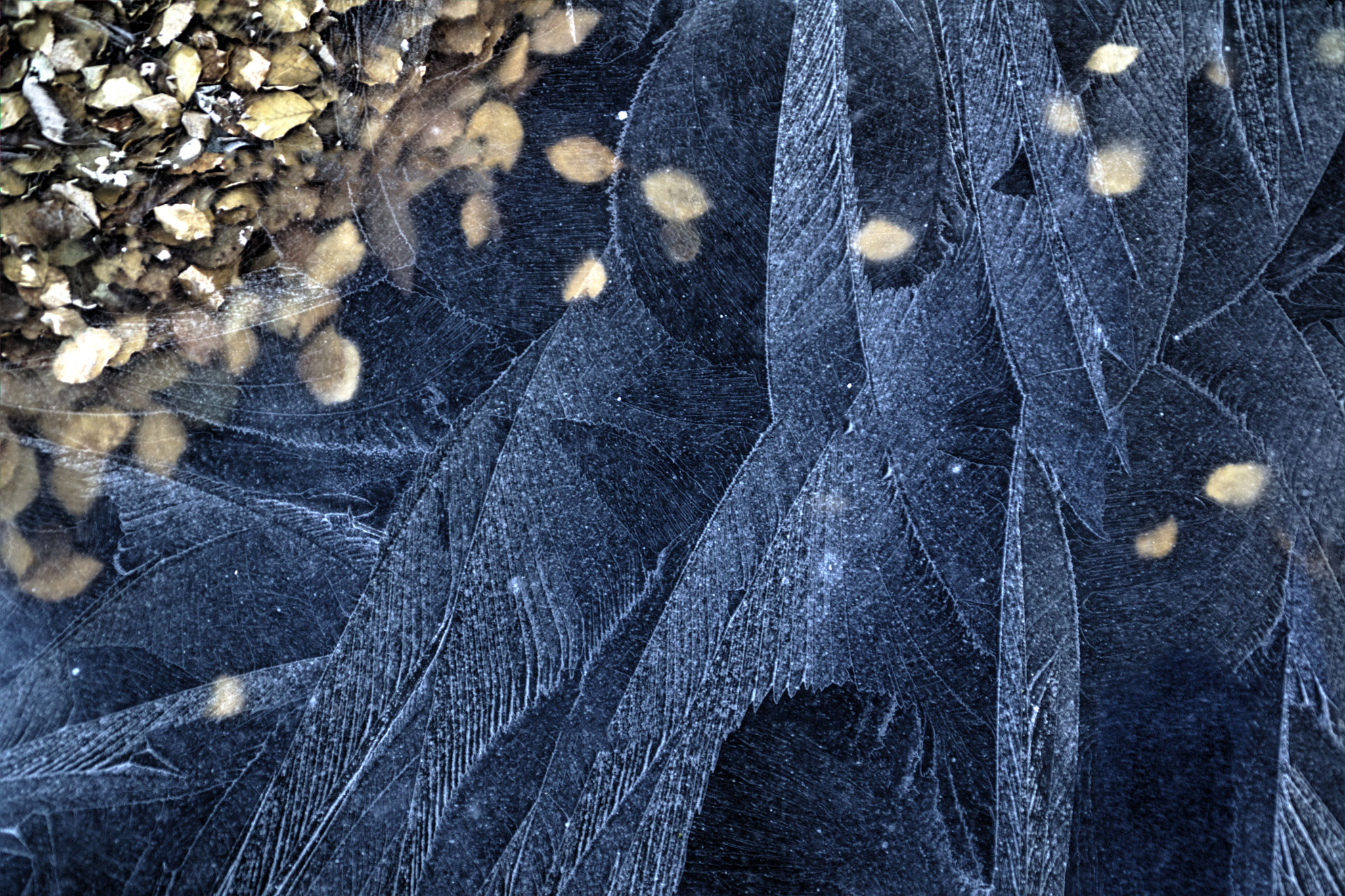 Sony SLT-A33 sample photo. The pattern of ice photography