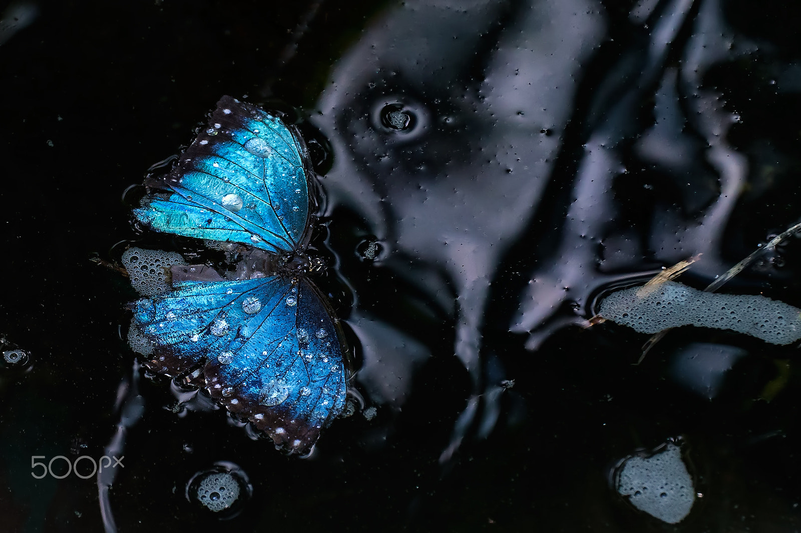 Canon EF 180mm F3.5L Macro USM sample photo. Liquid death photography