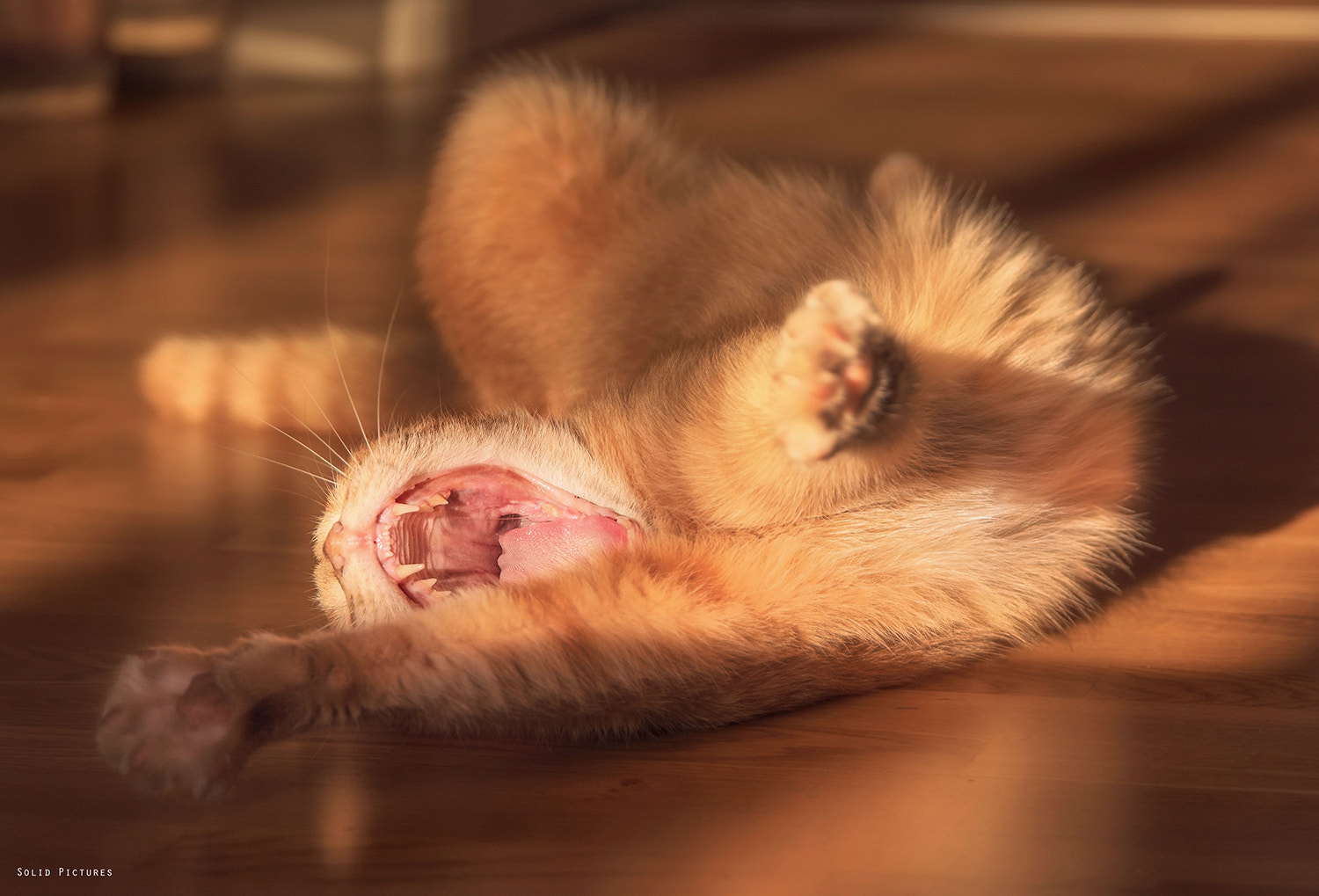 Nikon D5200 + Sigma 24-105mm F4 DG OS HSM Art sample photo. Art of laziness photography