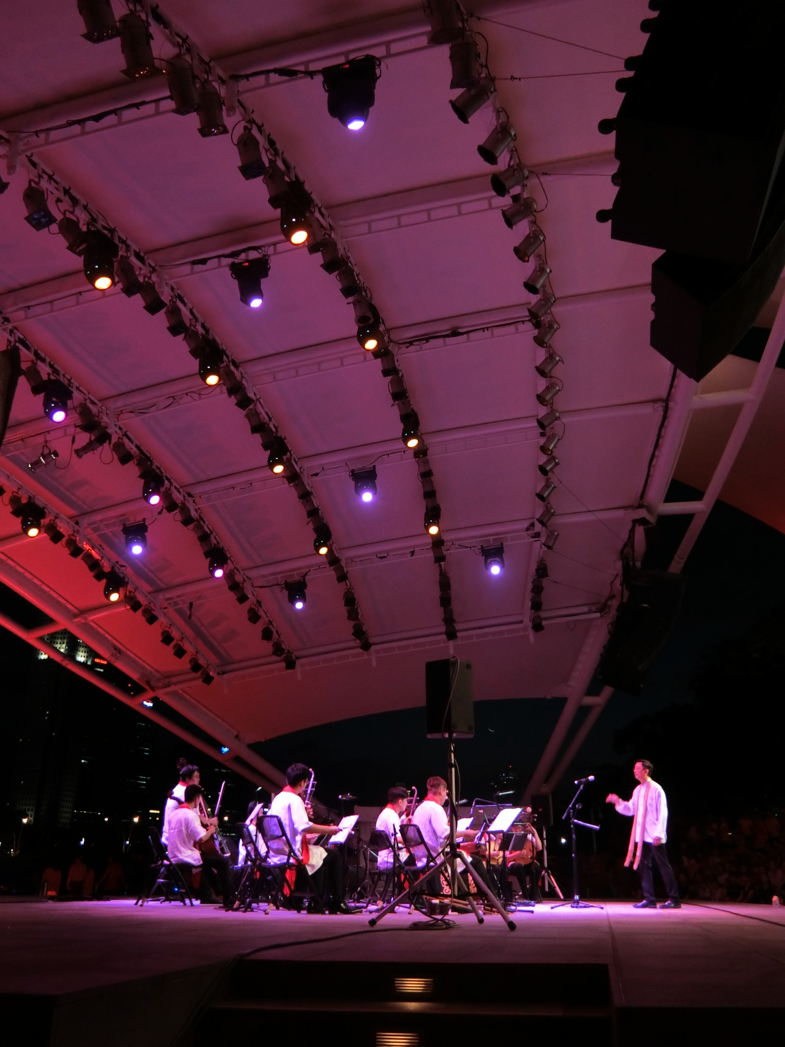 CASIO EX-100 sample photo. The concert photography