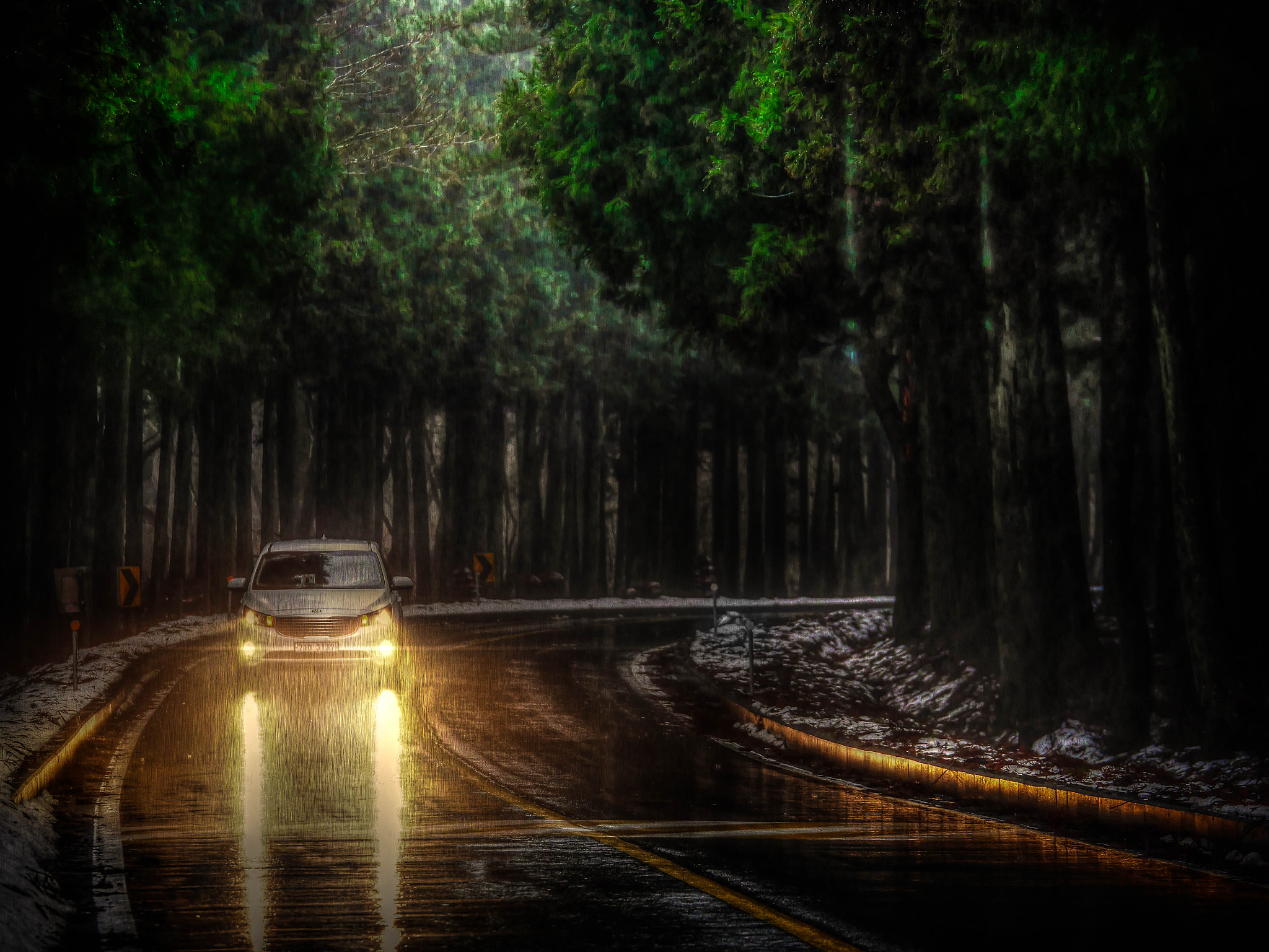 Panasonic Lumix G X Vario 35-100mm F2.8 OIS sample photo. Romance of the rainy forest photography