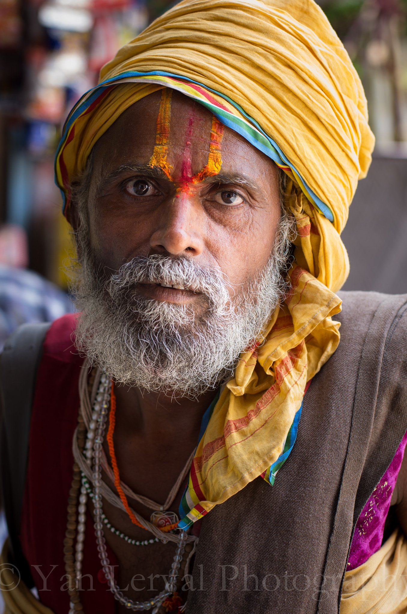 Pentax K-5 + Pentax smc DA* 55mm F1.4 SDM sample photo. Jodhpur, india photography