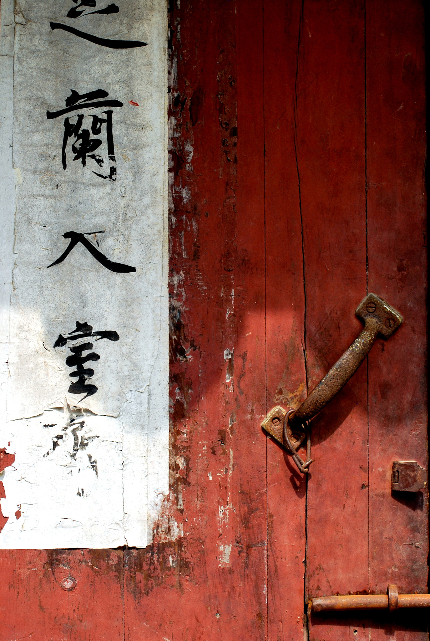 Nikon D60 sample photo. A photography