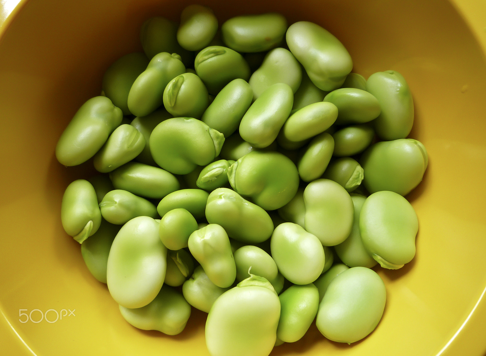 Panasonic DMC-FS5 sample photo. A bowl of freshly podded broad (fava) beans photography