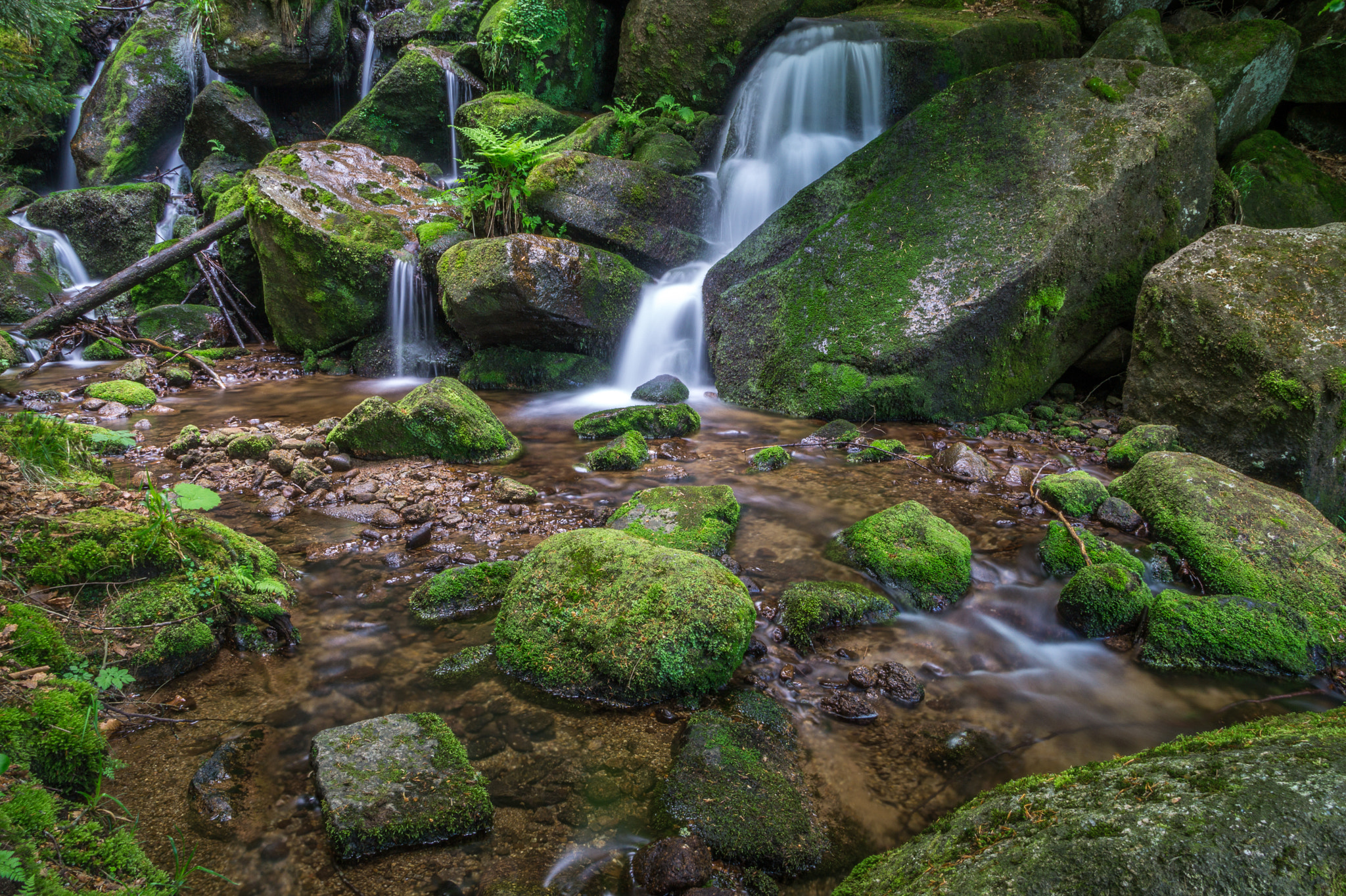 Sony DT 16-105mm F3.5-5.6 sample photo. Black forest photography