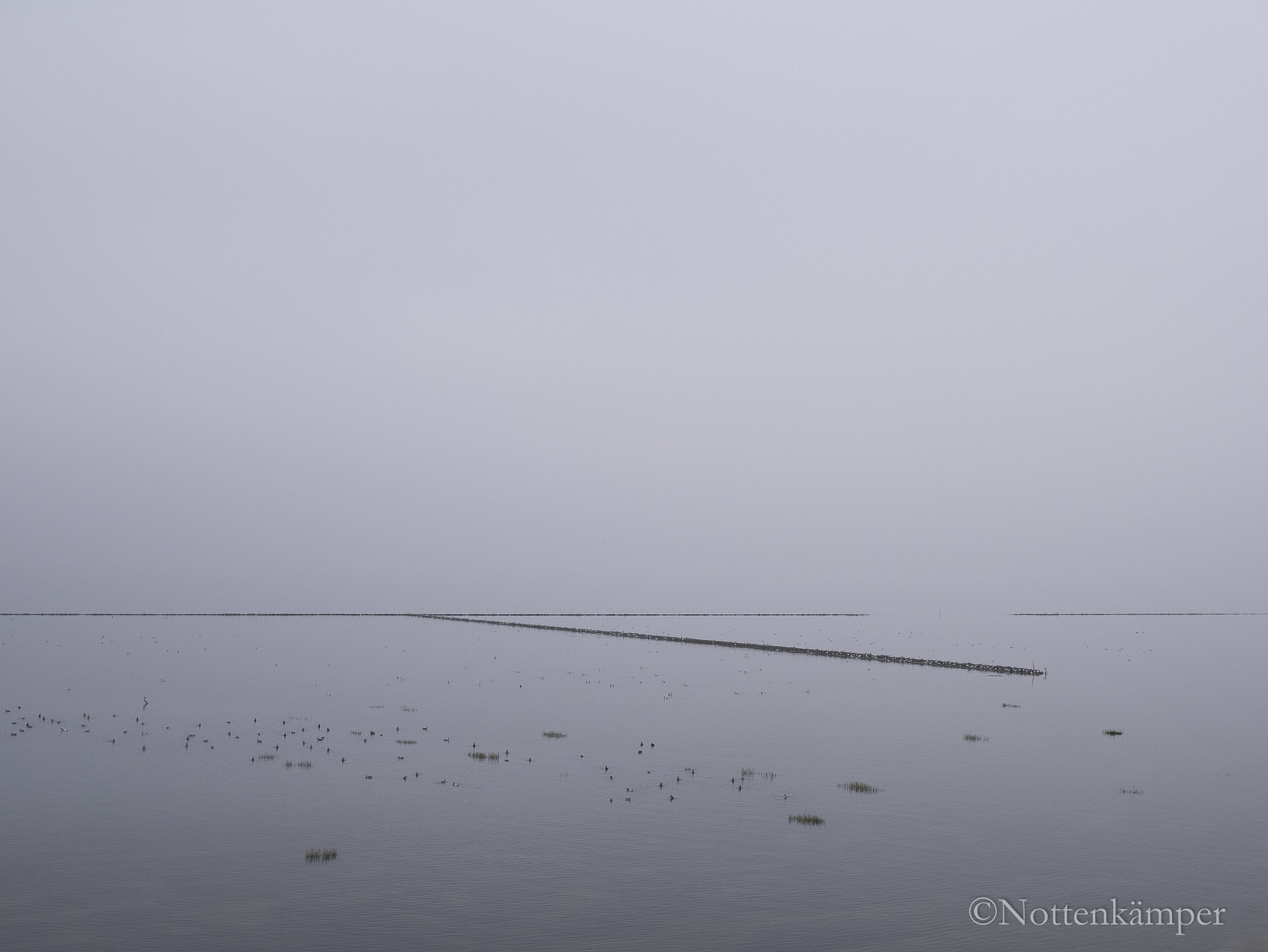 Panasonic Lumix DMC-GM1 + LUMIX G 20/F1.7 II sample photo. Island fog, sylt, 1450066 photography