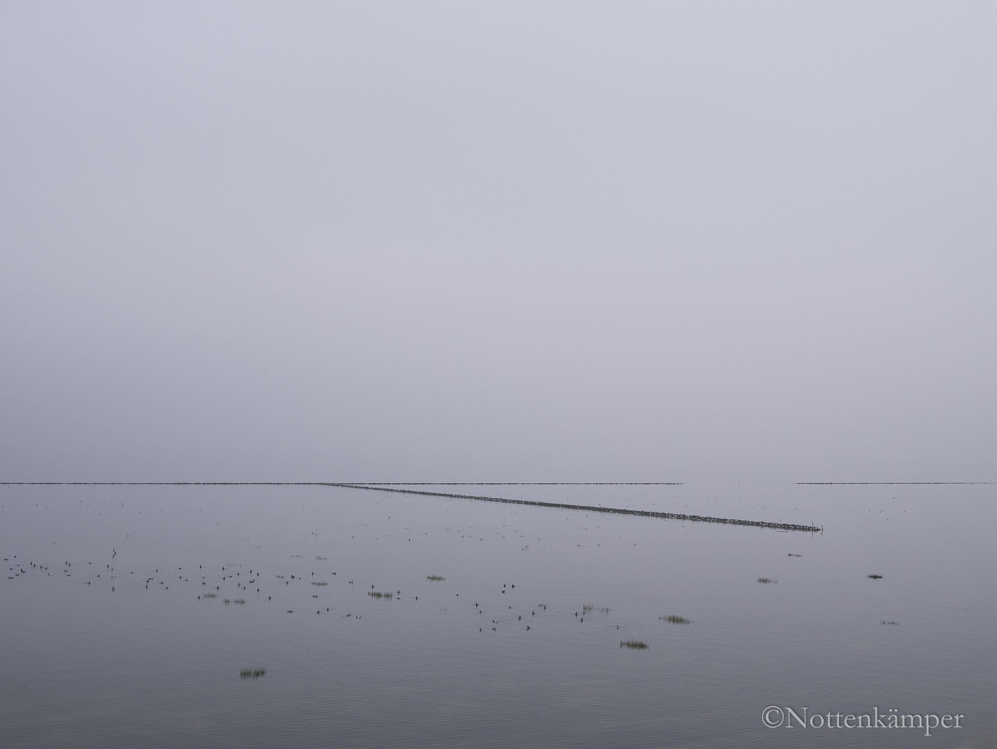 Panasonic Lumix DMC-GM1 + LUMIX G 20/F1.7 II sample photo. Island fog, sylt, 1450066 photography