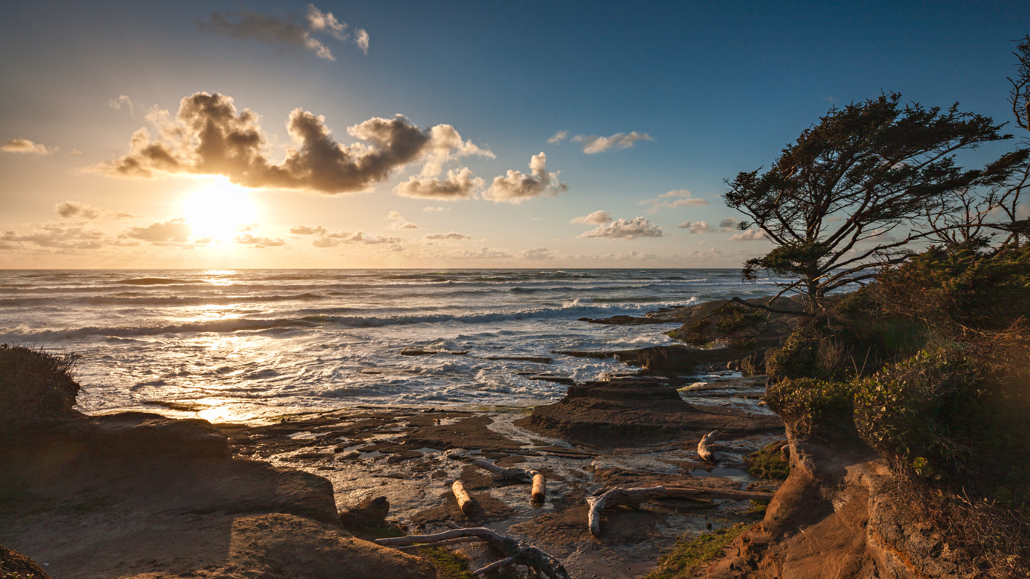 Canon TS-E 17mm F4L Tilt-Shift sample photo. Golden light photography