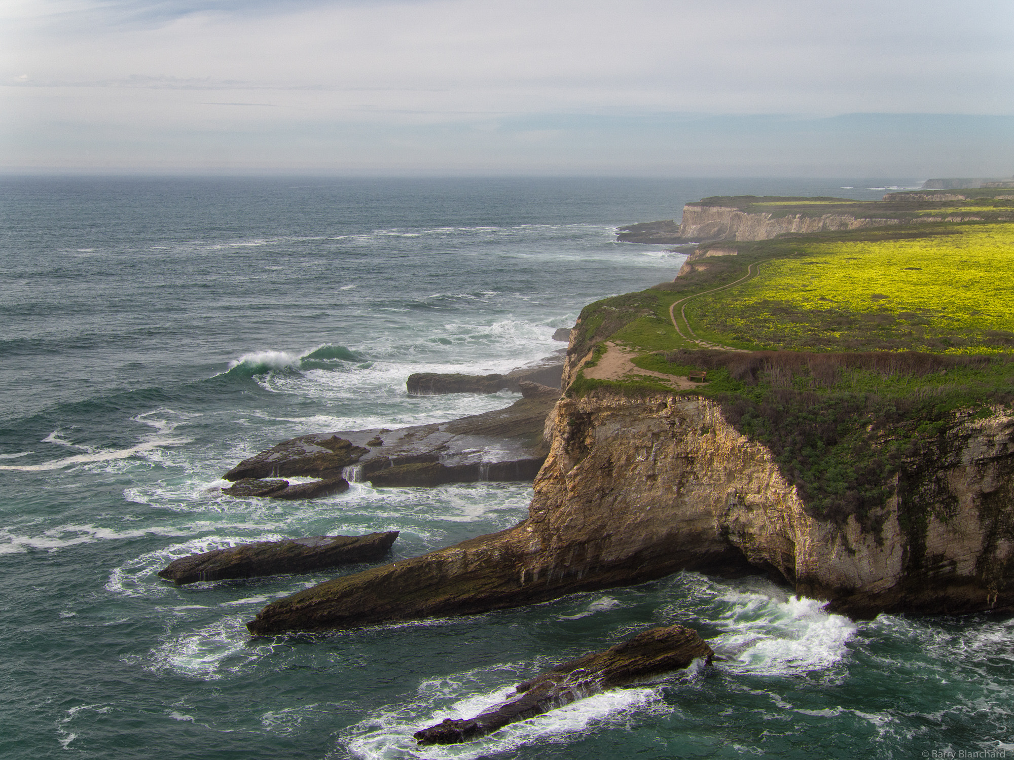 DJI FC550 + Olympus M.Zuiko Digital 25mm F1.8 sample photo. Winter tones © barry blanchard photography