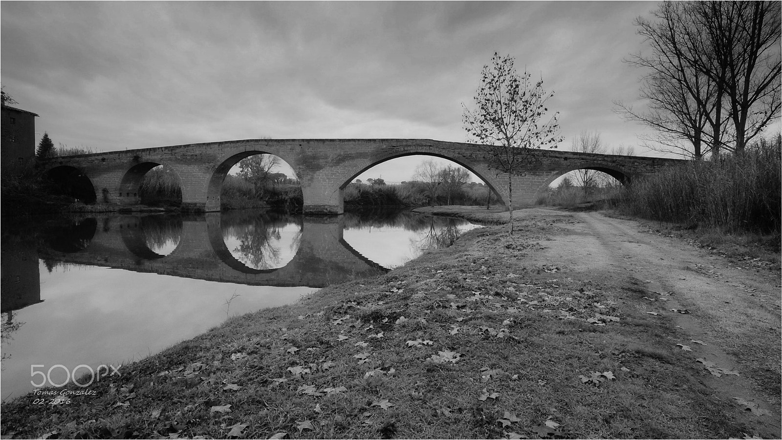 Sigma AF 10-20mm F4-5.6 EX DC sample photo. Highlights bw photography