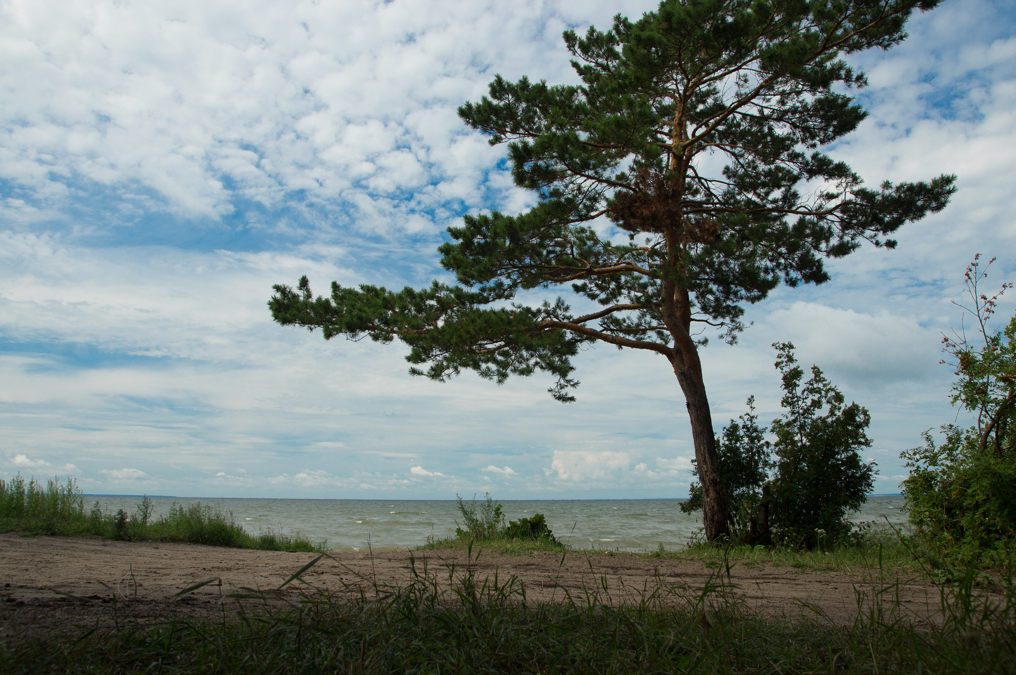 Sony Alpha DSLR-A580 sample photo. Shore of the ob sea photography