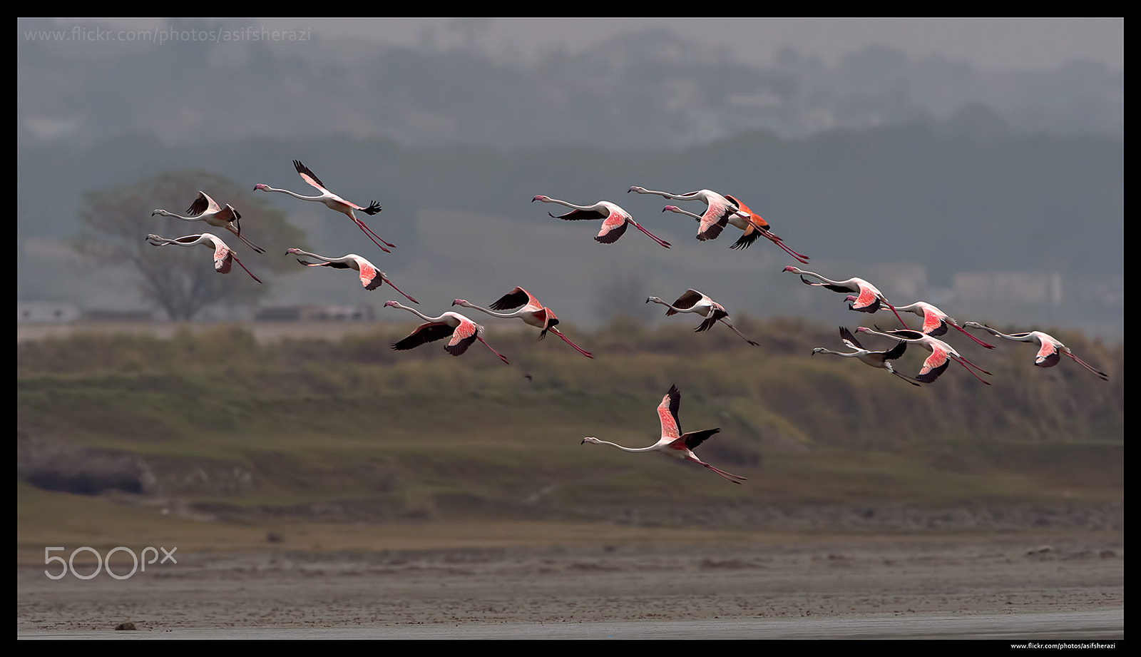 Nikon AF-S Nikkor 400mm F2.8G ED VR II sample photo. Beauty of the nature photography