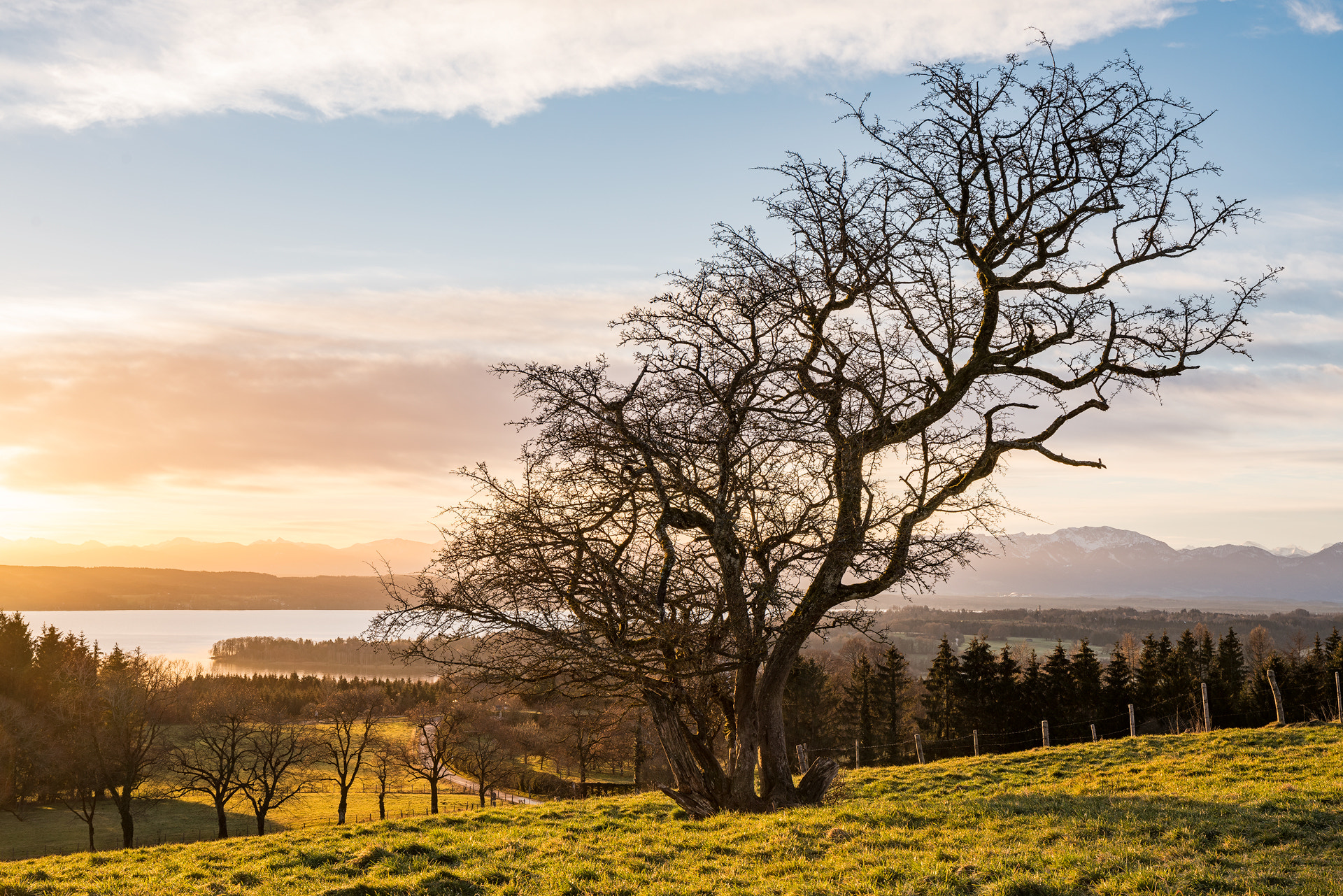 Sony a7R II + Canon EF 24-70mm F4L IS USM sample photo. Ilkahöhe photography