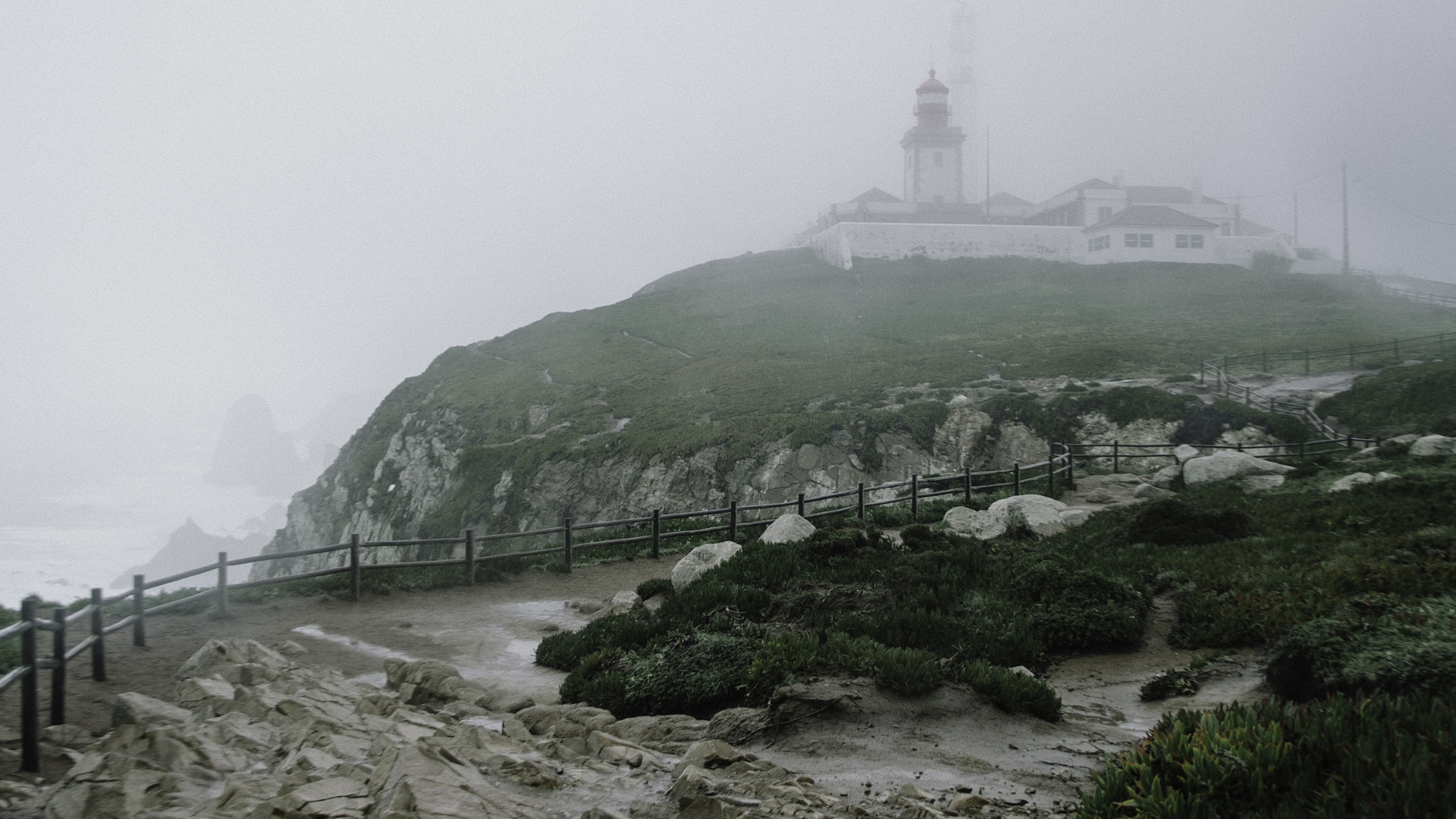 Nikon D4 sample photo. Fog photography