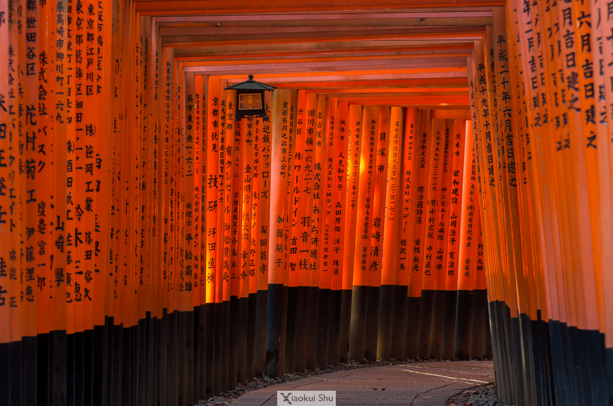 Pentax smc D-FA 100mm F2.8 Macro WR sample photo. To the source photography