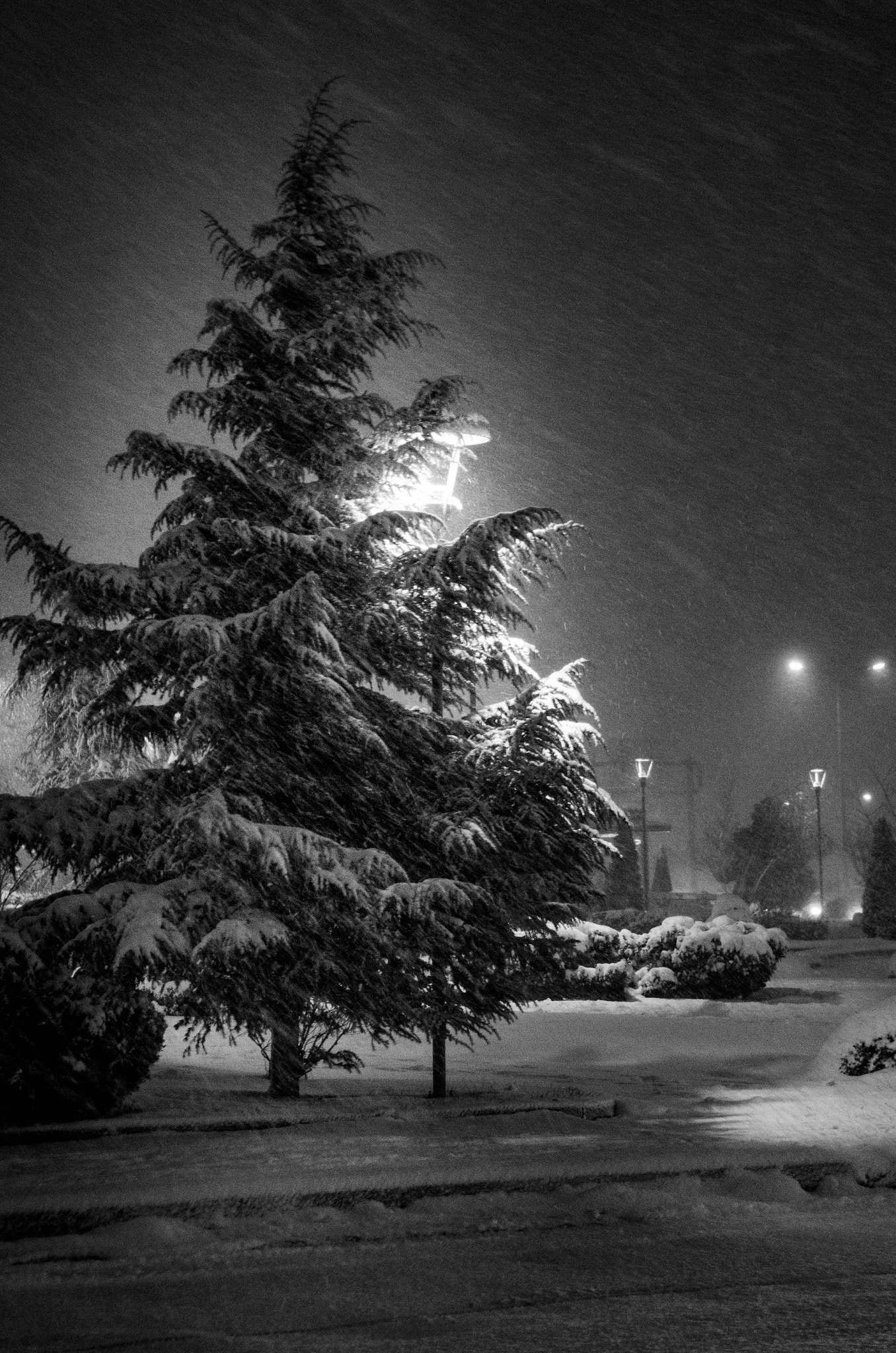 Pentax K-5 IIs sample photo. Snow and loneliness photography