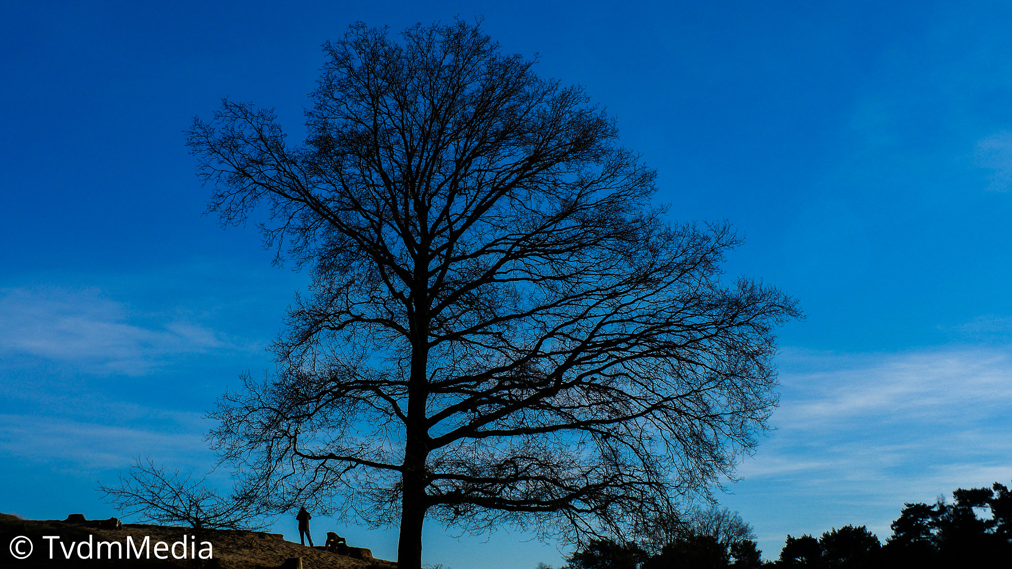 Panasonic Lumix DMC-GH4 sample photo. Man under tree photography