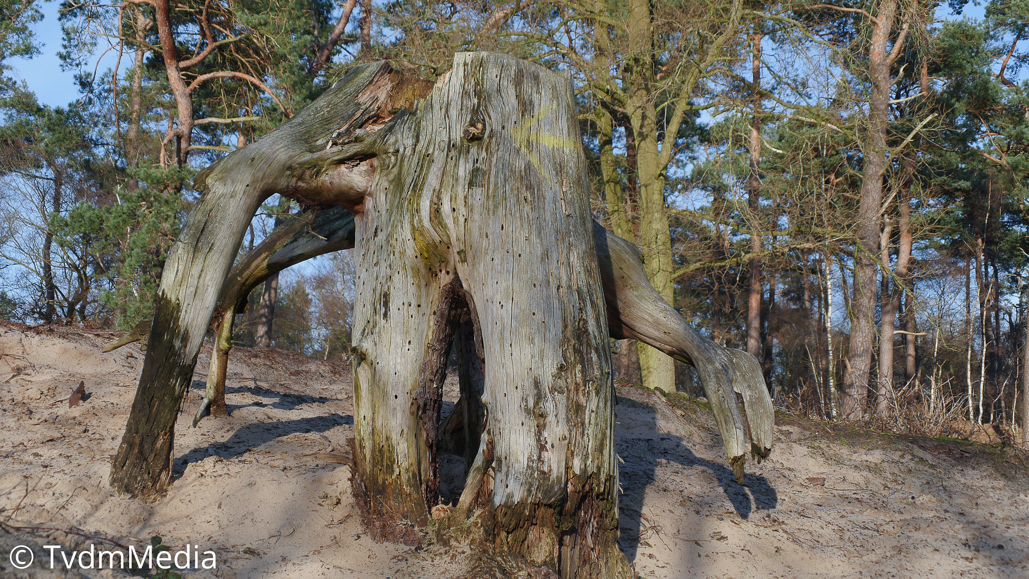 Panasonic Lumix DMC-GH4 sample photo. Monster photography
